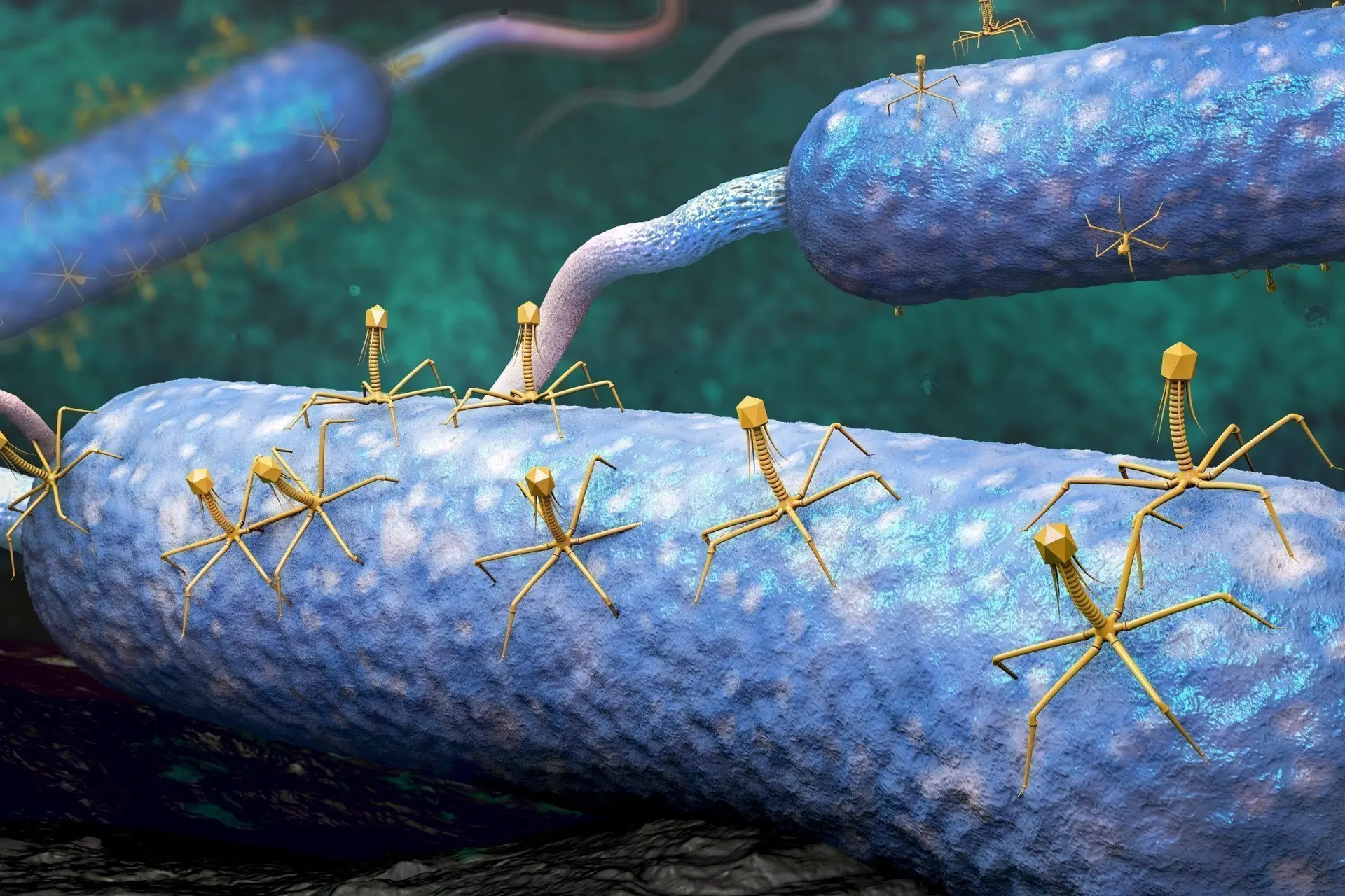 Sterven aan verkoudheid: jaarlijks 35.000 doden in Europa door sluipende epidemie