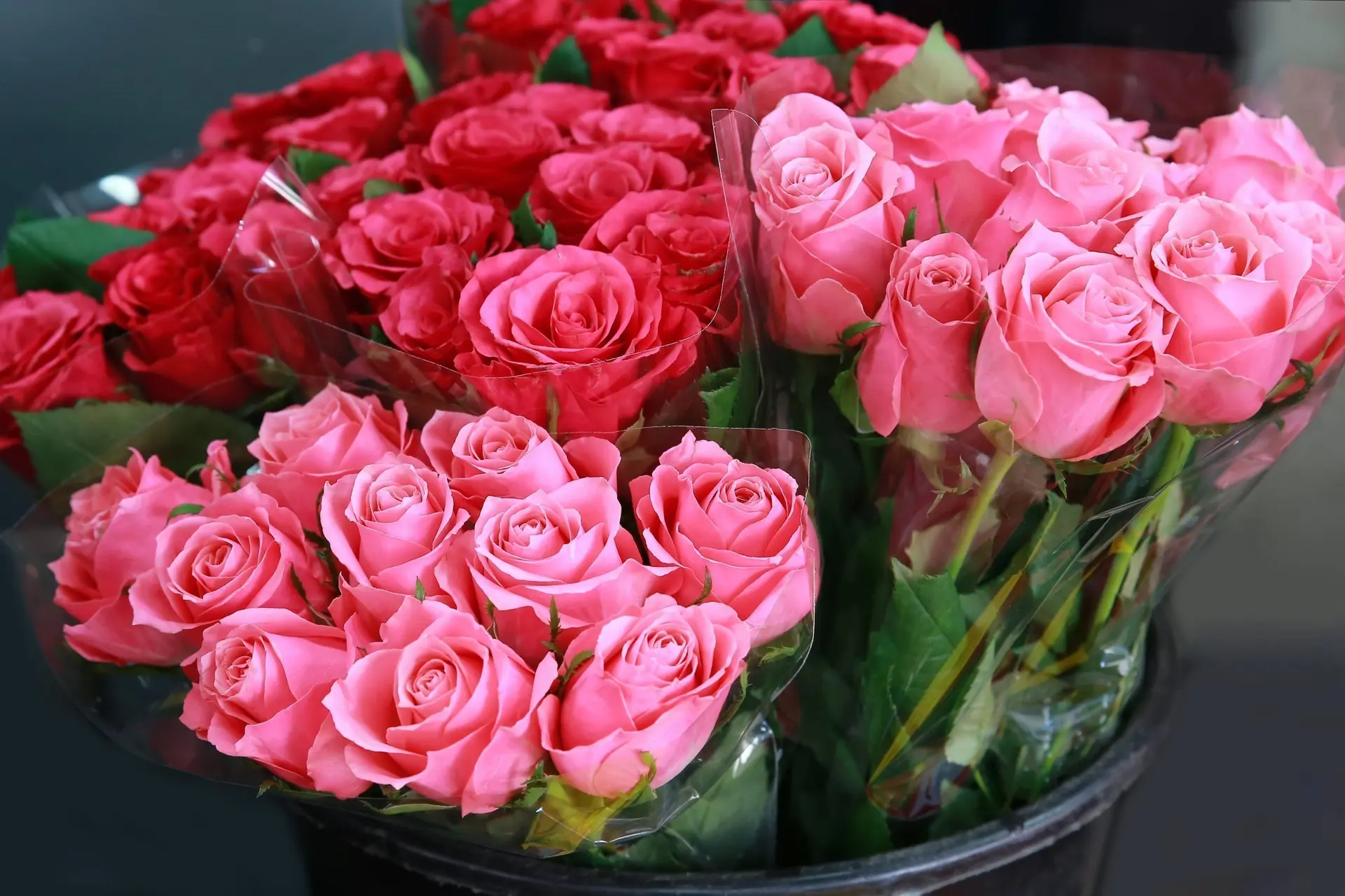 Bloemen zitten vol gif