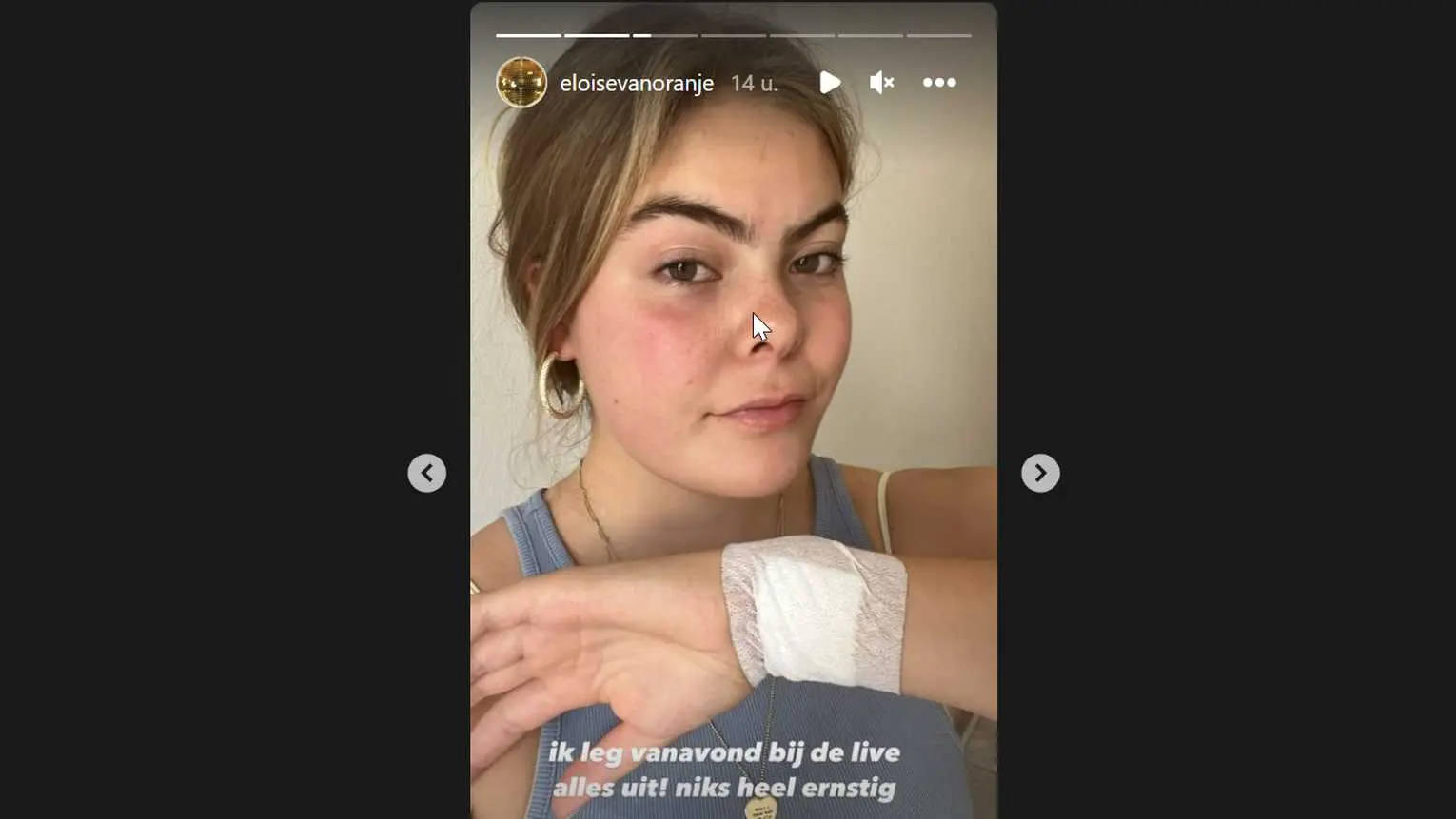 Gravin Eloise: ’Hele afwasmachine zat onder het bloed’