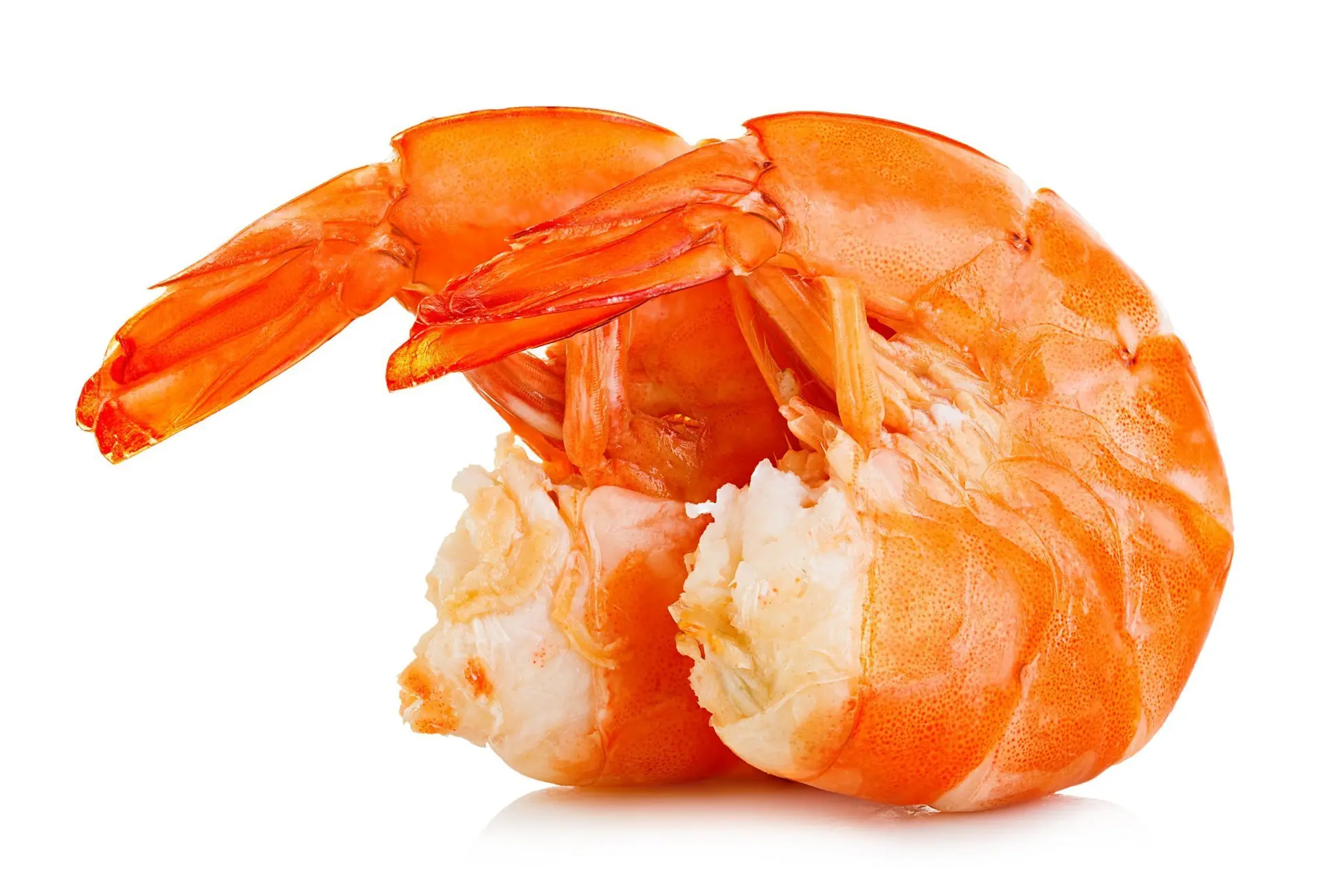 De 5 vissoorten die je niet moet eten