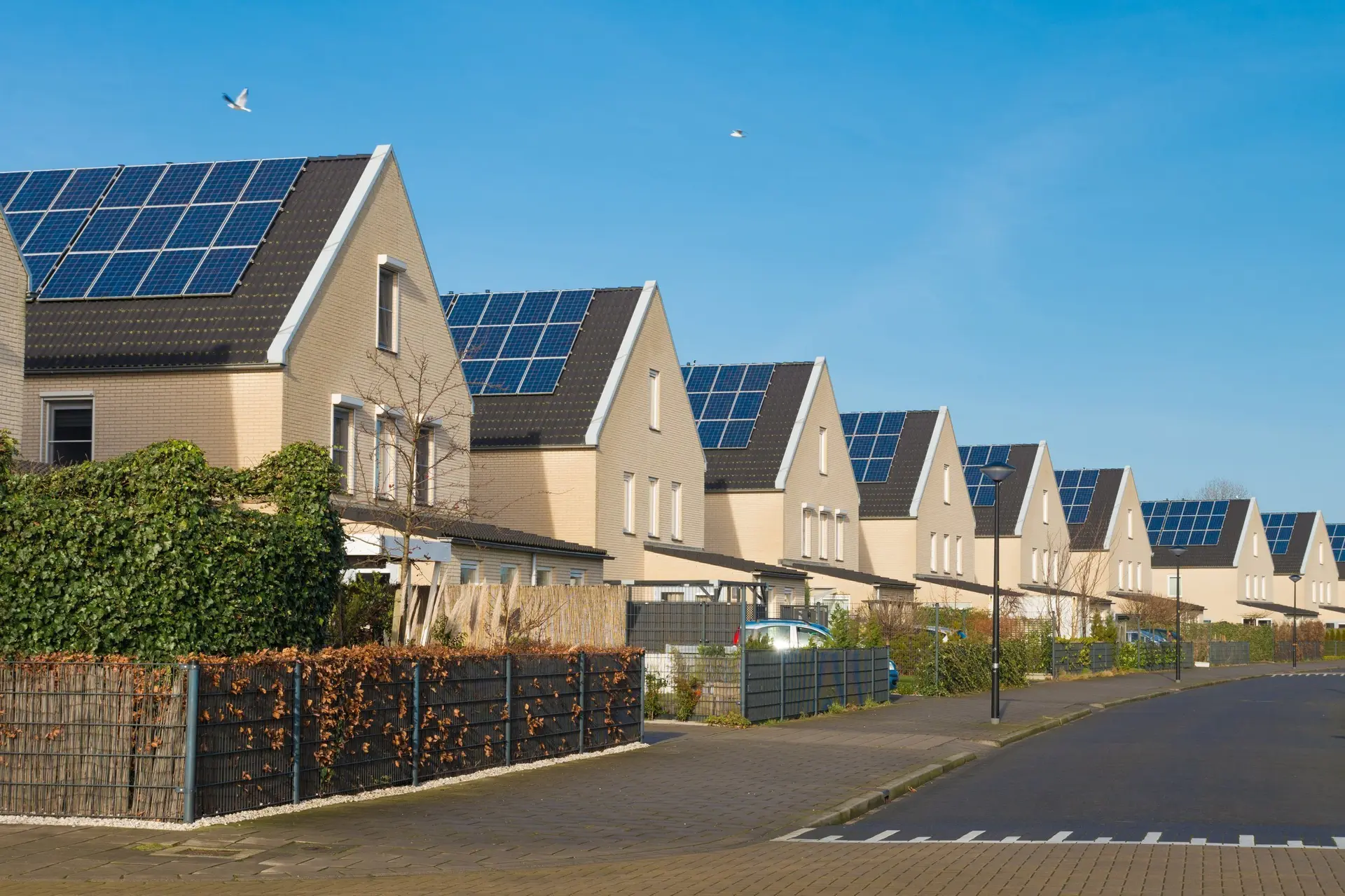 Europese Groenen willen zonnepanelen verplicht maken
