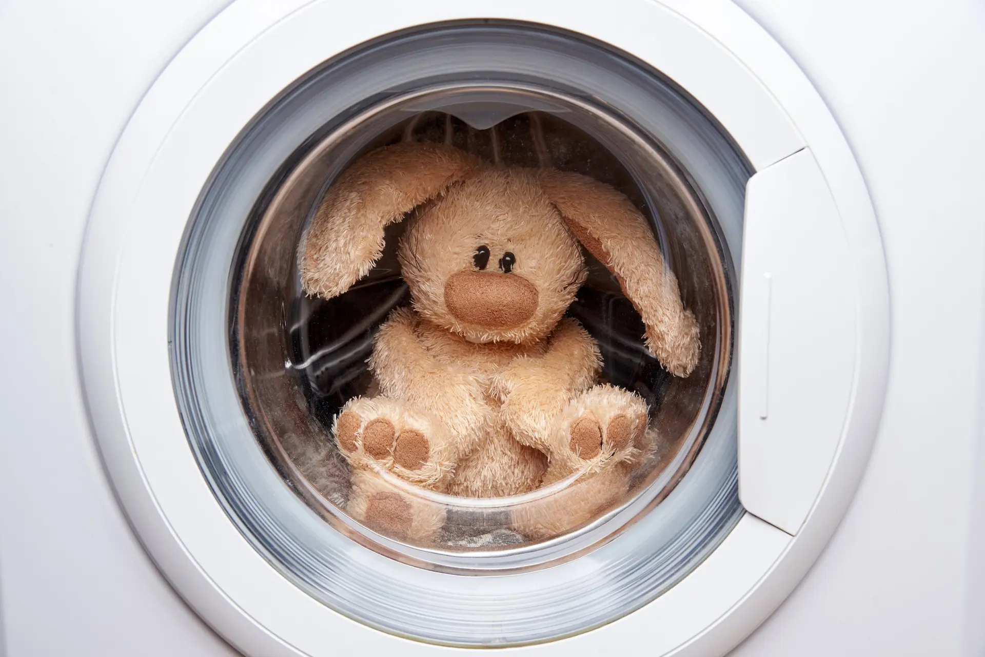 Waarom hebben wasmachines een raampje en vaatwassers niet?