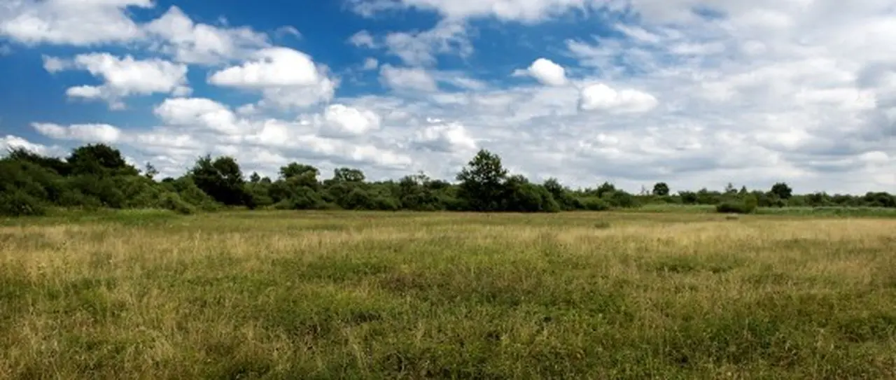 WNF: 'Nederlandse natuur dramatisch verslechterd'
