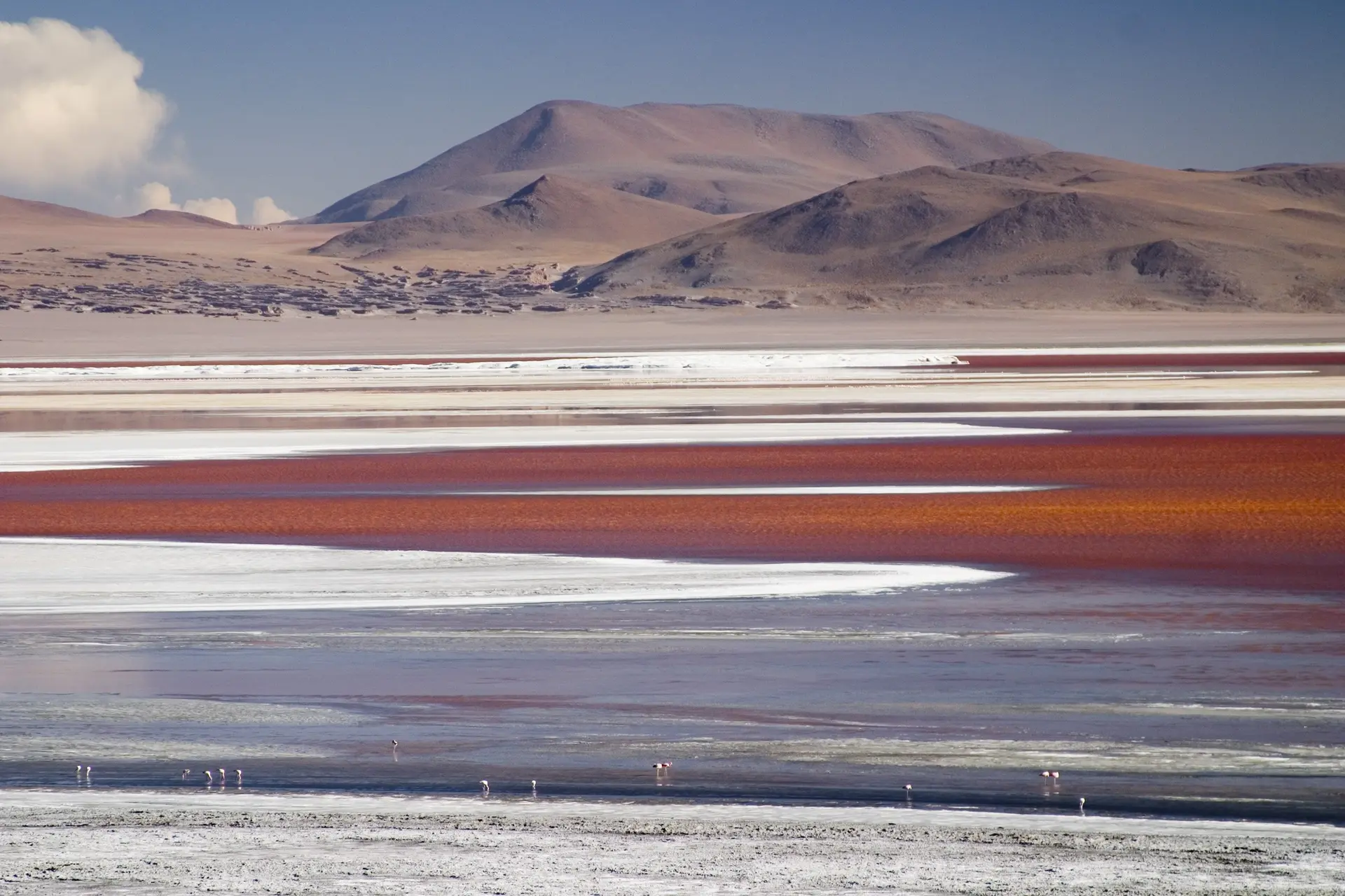 Europa vist achter het net: Chinese en Russische bedrijven mogen Boliviaans lithium winnen