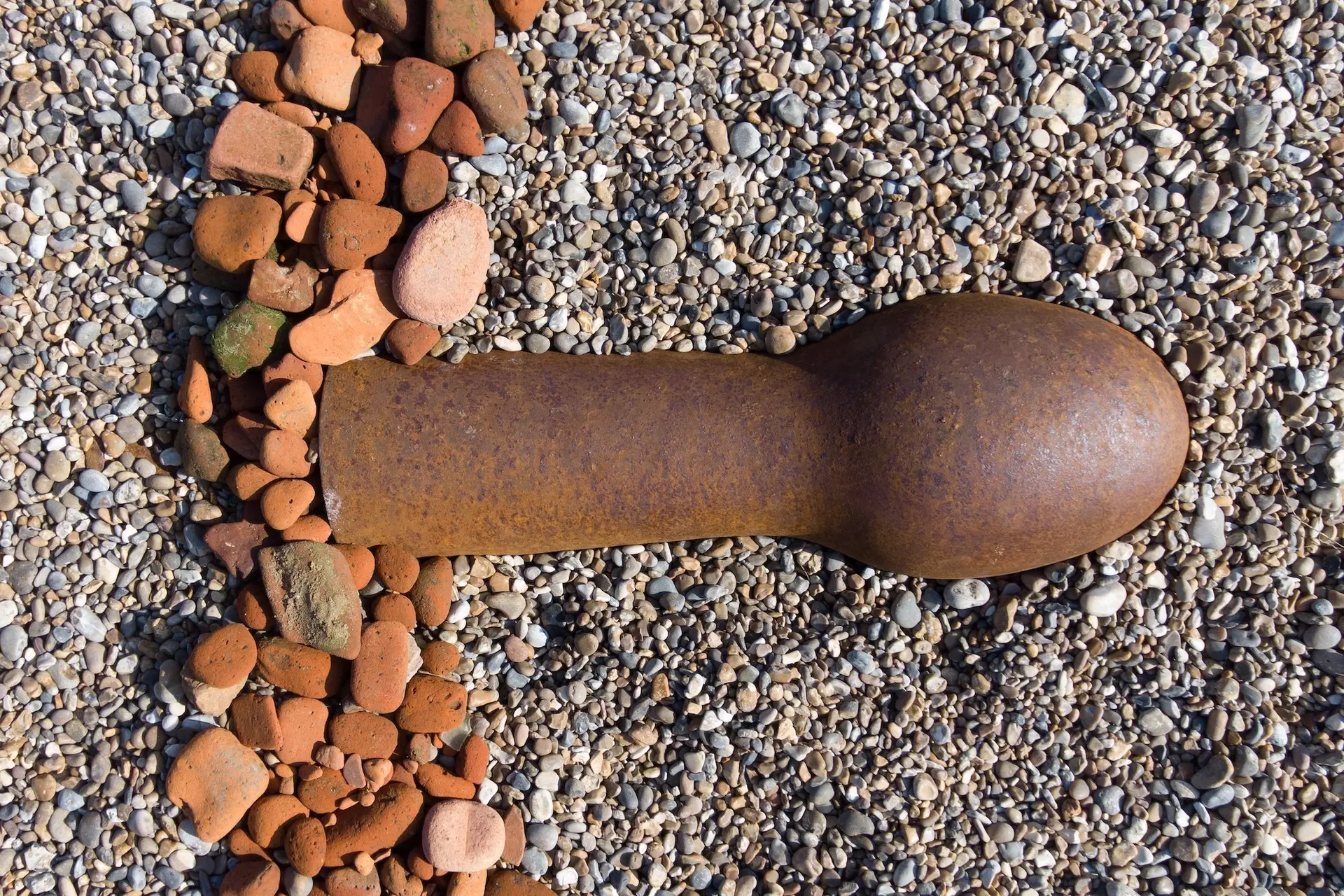 7 dingen die je niet weet over de penis