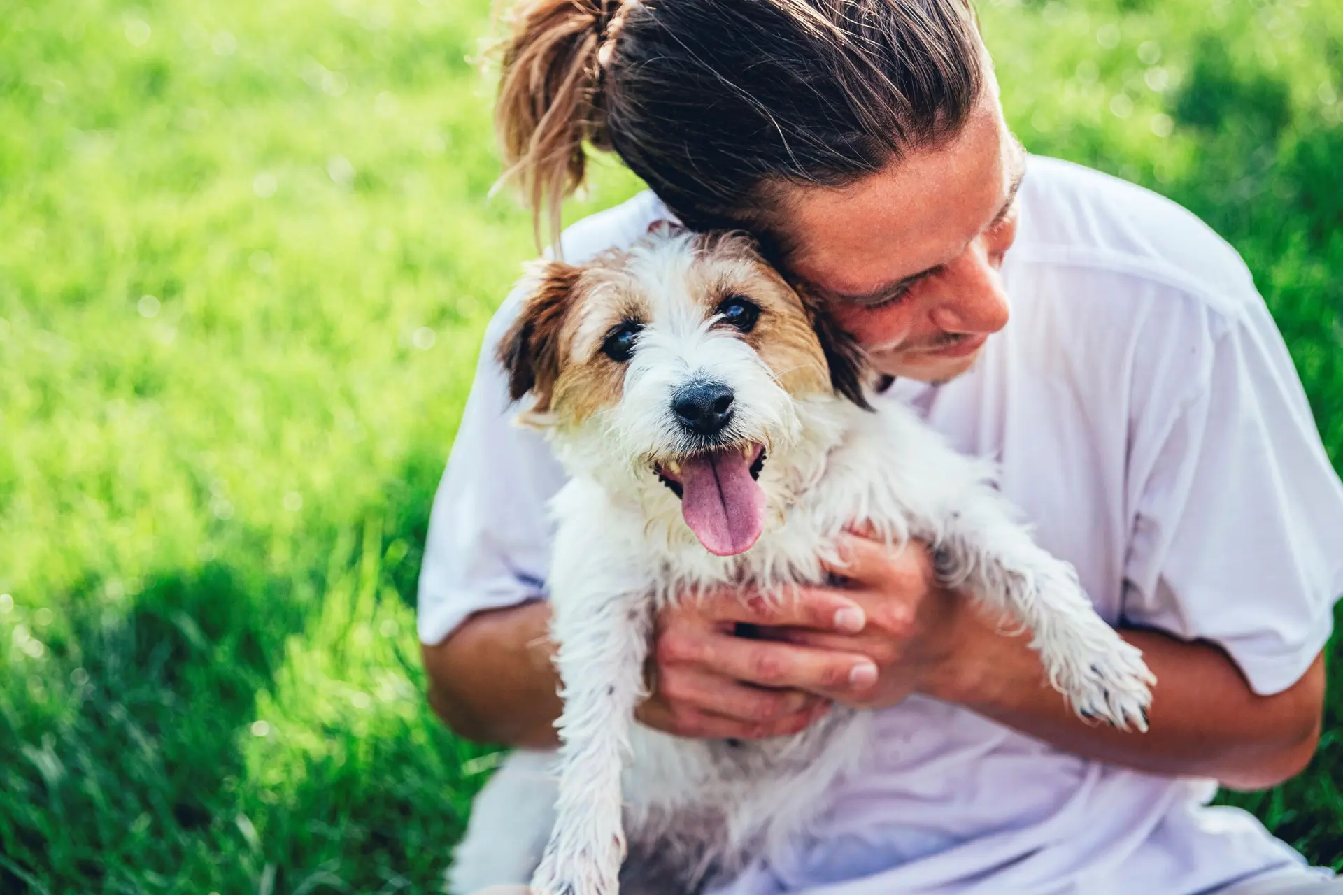 Steeds meer honden onhandelbaar, omdat we ze te veel aaien