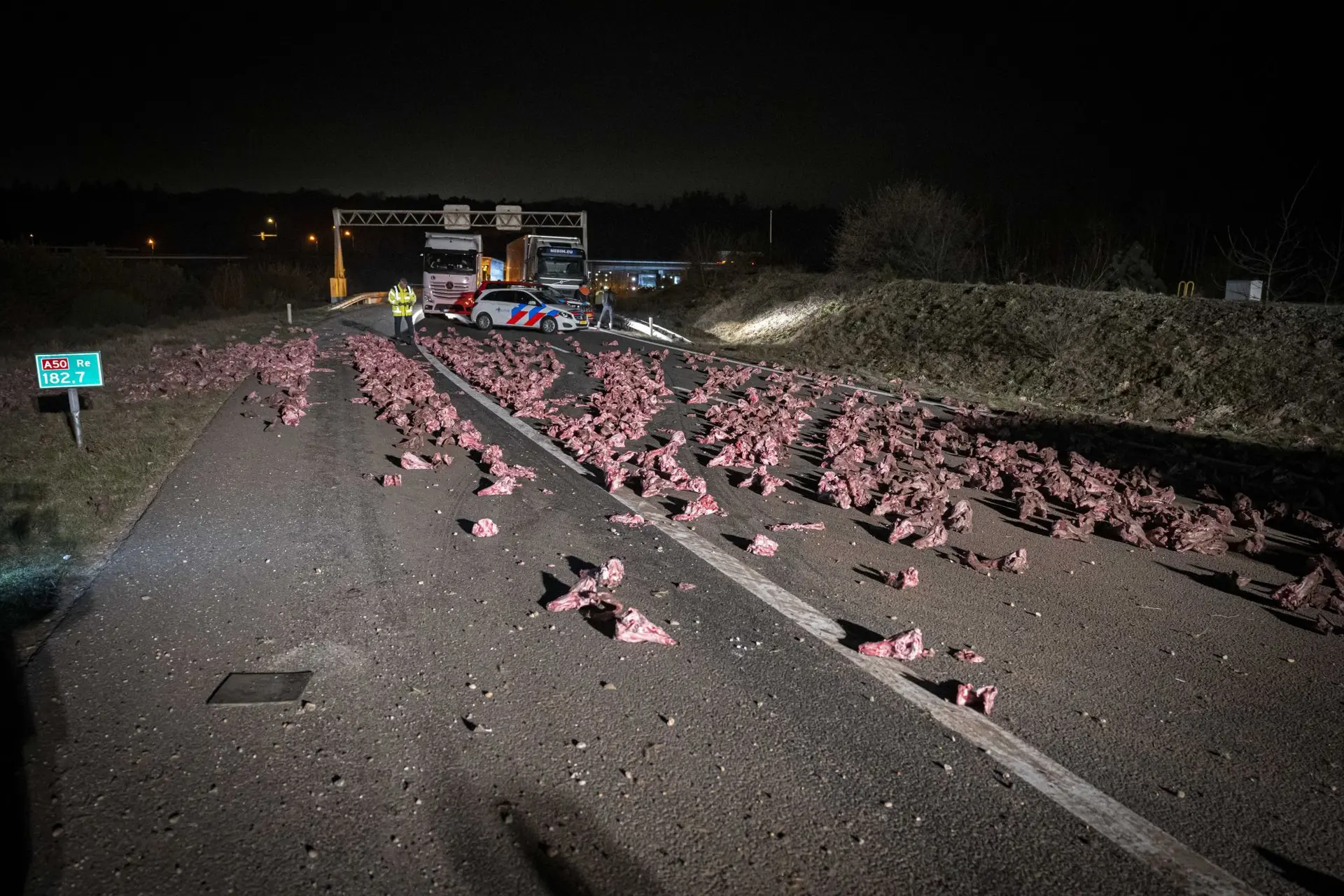 Zien: vrachtwagen verliest 10.000 kilo slachtafval, auto wordt geraakt door rondvliegend vlees