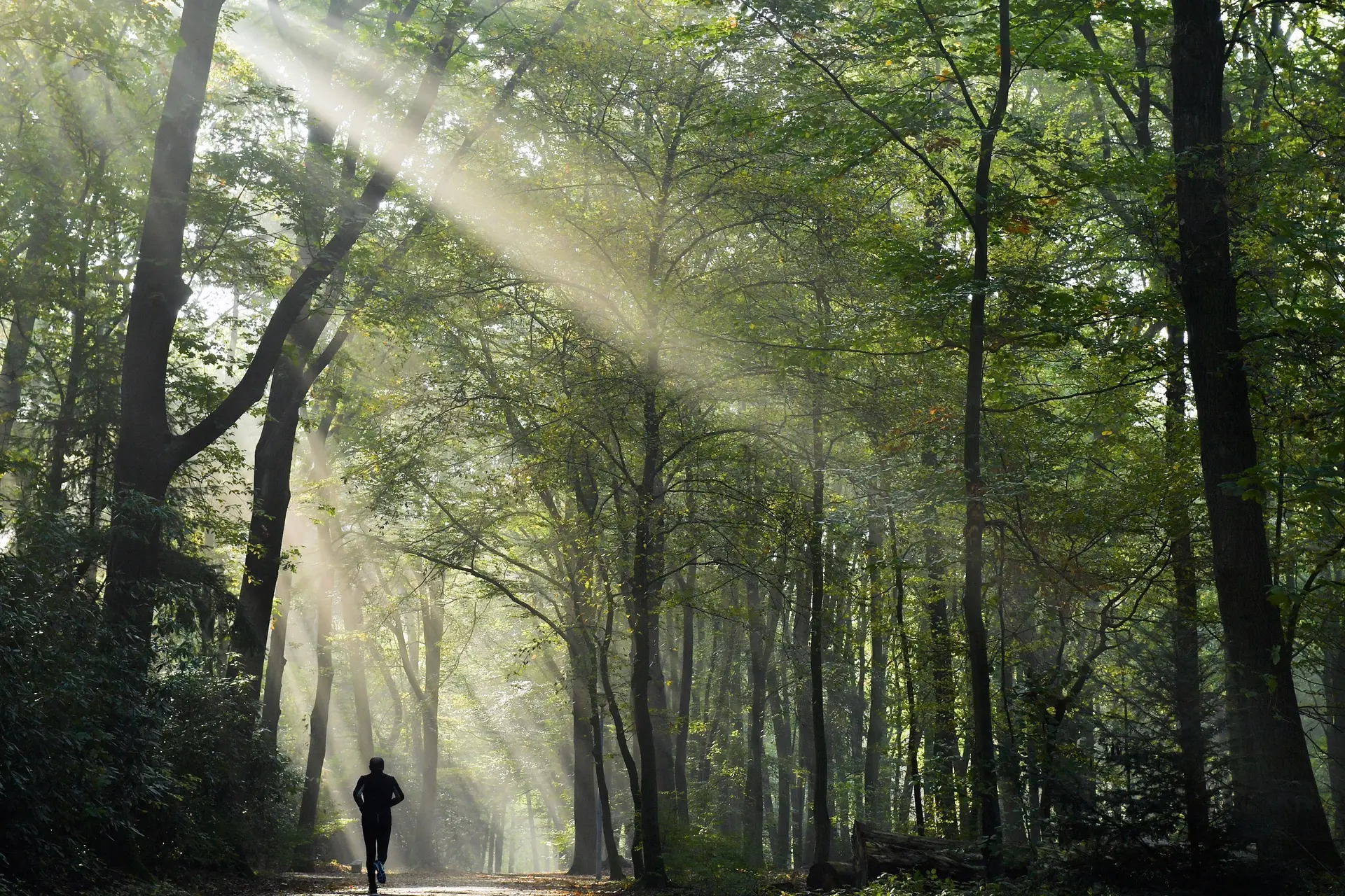 Wereldprestatie: Belg Karel Sabbe finisht Barkley Marathons nipt binnen 60 uur