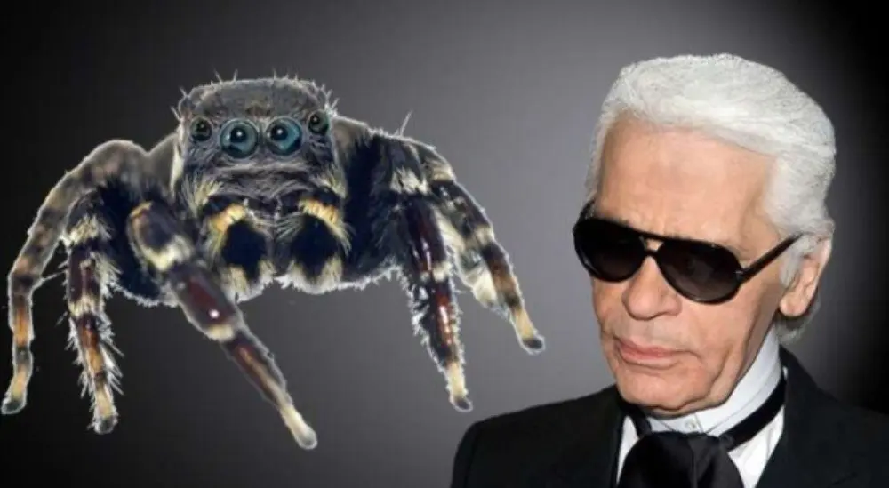 Karl Lagerveld is nu voor eeuwig een spin