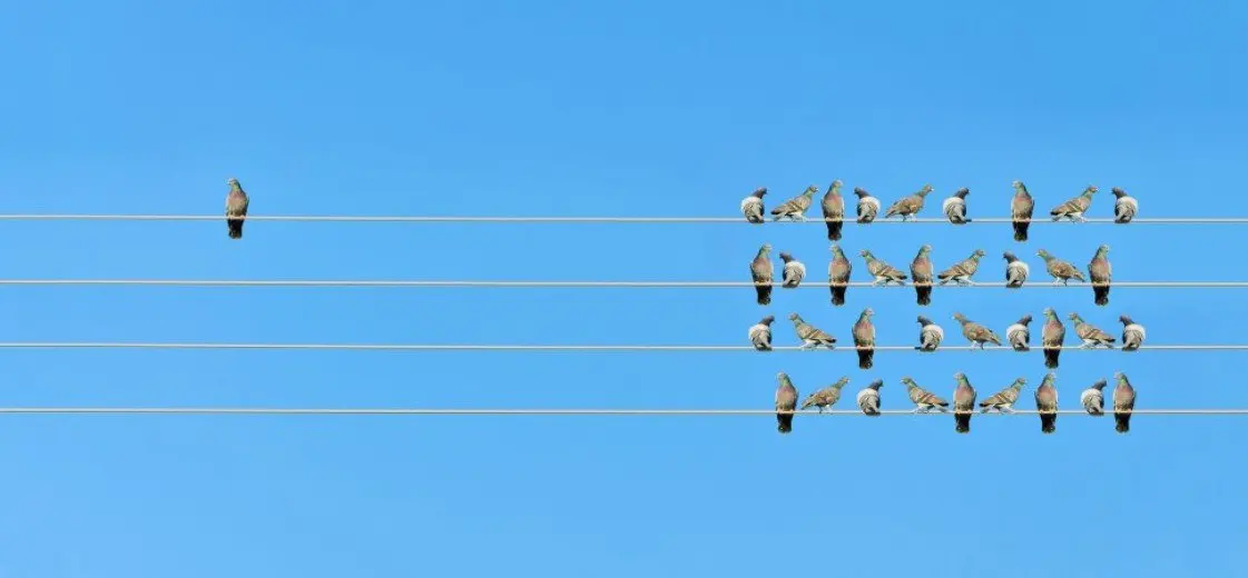 Heel slimme mensen worden juist ongelukkig van vrienden