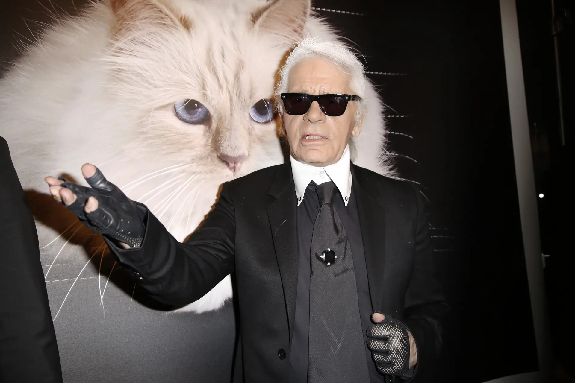 Felle strijd om de kat van Karl Lagerfeld