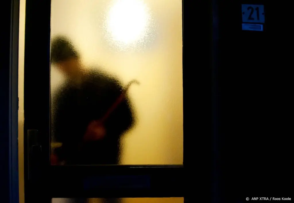 Inbrekers maken miljoenen buit bij Aldi-weduwe