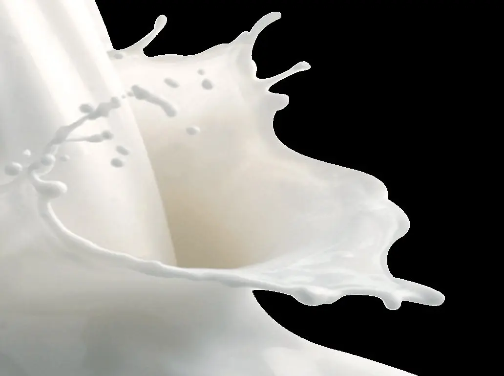 3 glazen melk per dag drinken kan tot een vroege dood leiden