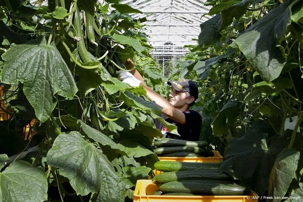 Minder tomaten en komkommers geteeld door dure energie
