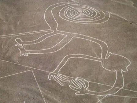 nasca aap3