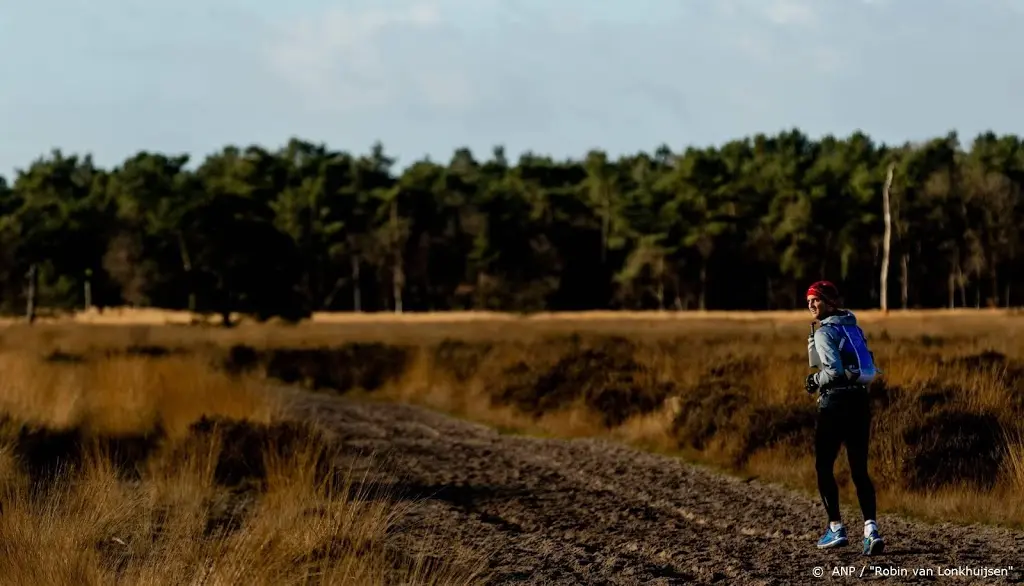 Nederlanders trekken massaal hun hardloopschoenen aan