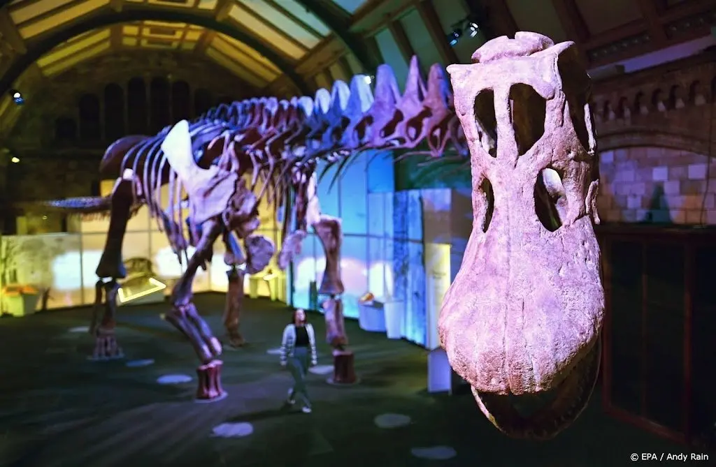 Paleontologen ontdekken een van grootste dinosaurussoorten ooit