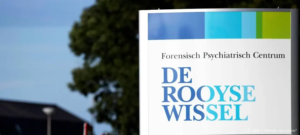 Psychiater pleit voor afschaffen tbs-systeem