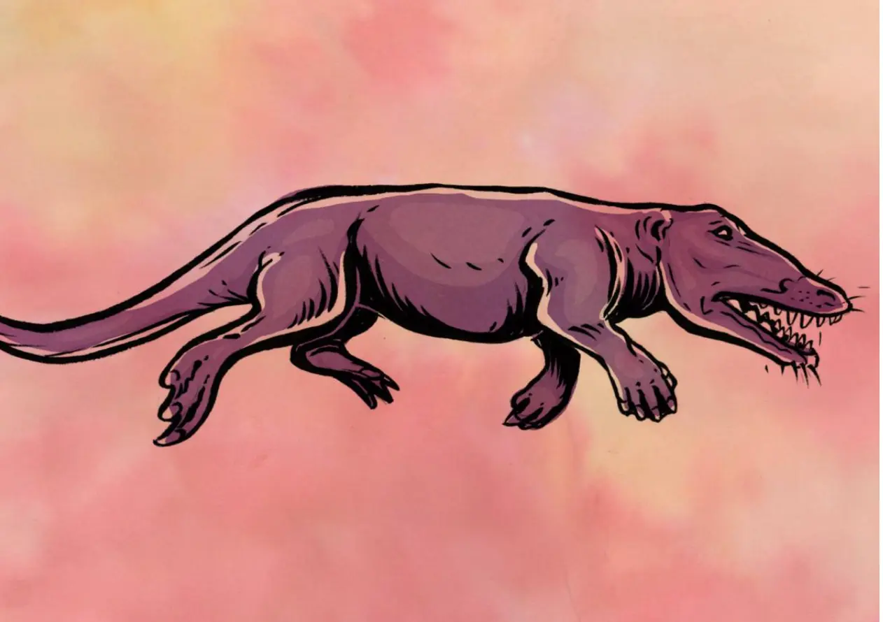 De evolutie van de walvis is 1 minuut: hij begon als een lopend landdier