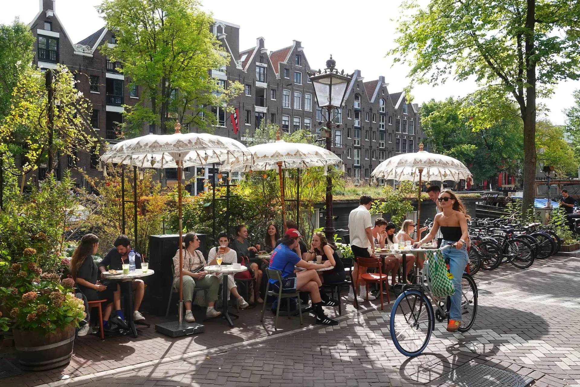 Warmste en natste jaar ooit in Nederland: 3 graden warmer sinds begin van de metingen