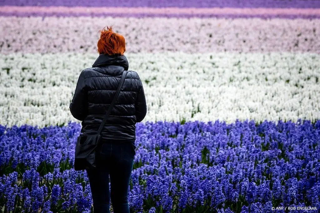 Minder bloementelers actief in Nederland