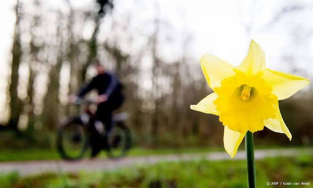 Warmste februari ooit gemeten door continu zacht weer