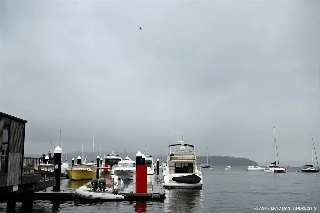 Voor het eerst sinds 2009 aanval haai in haven Sydney