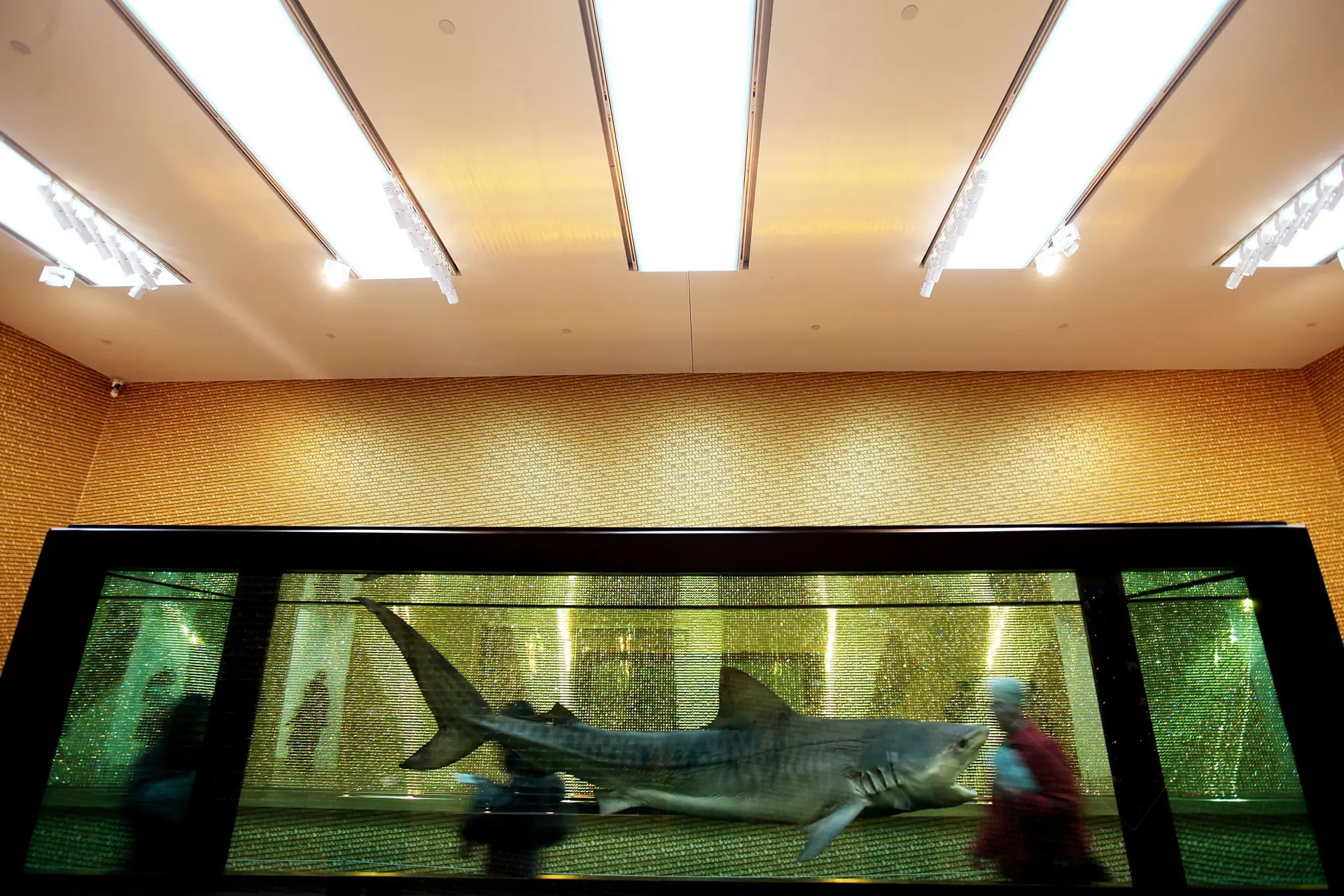 Kunstenaar Damien Hirst beschuldigd van bedrog: zijn kunstwerken zouden veel later zijn gemaakt