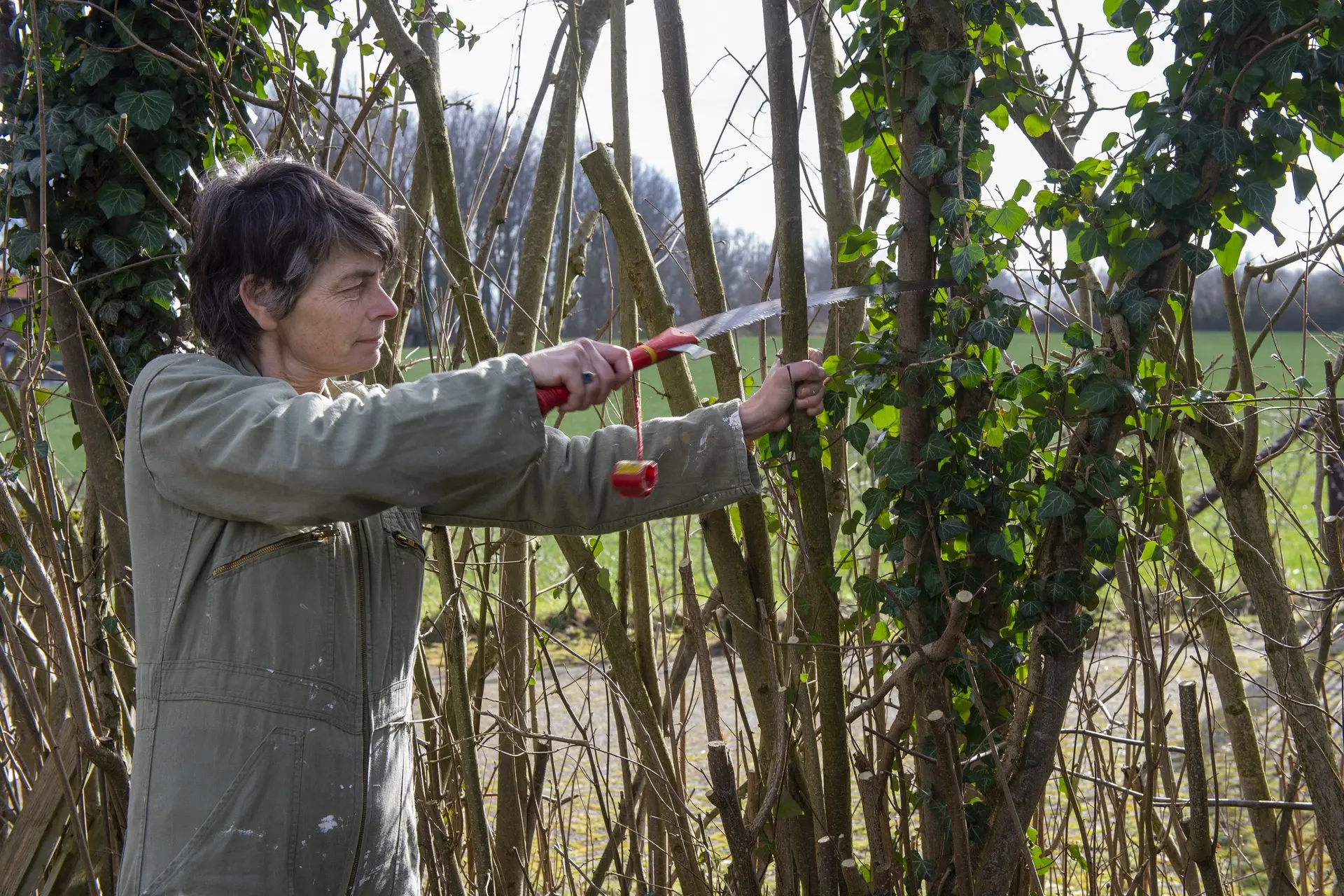 Tijd om de groene vingers te laten wapperen: zo ga je in het voorjaar aan de slag in de tuin