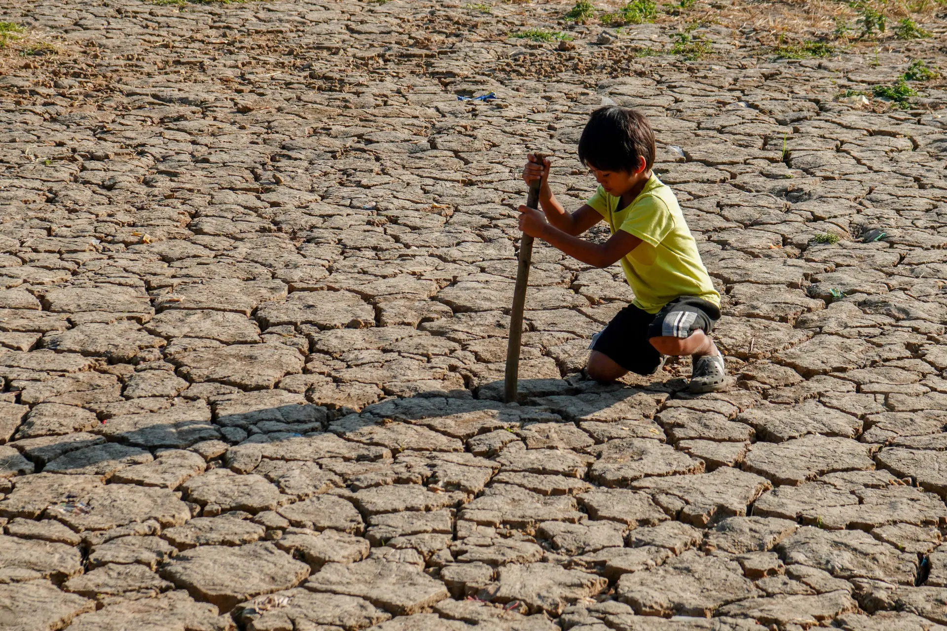 Belangrijke klimaatwetenschapper nuanceert: "Mensheid gaat echt niet ten onder"