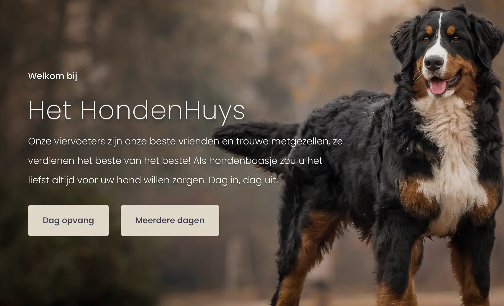 Tien honden in luxe hondenhotel vermoedelijk gestikt