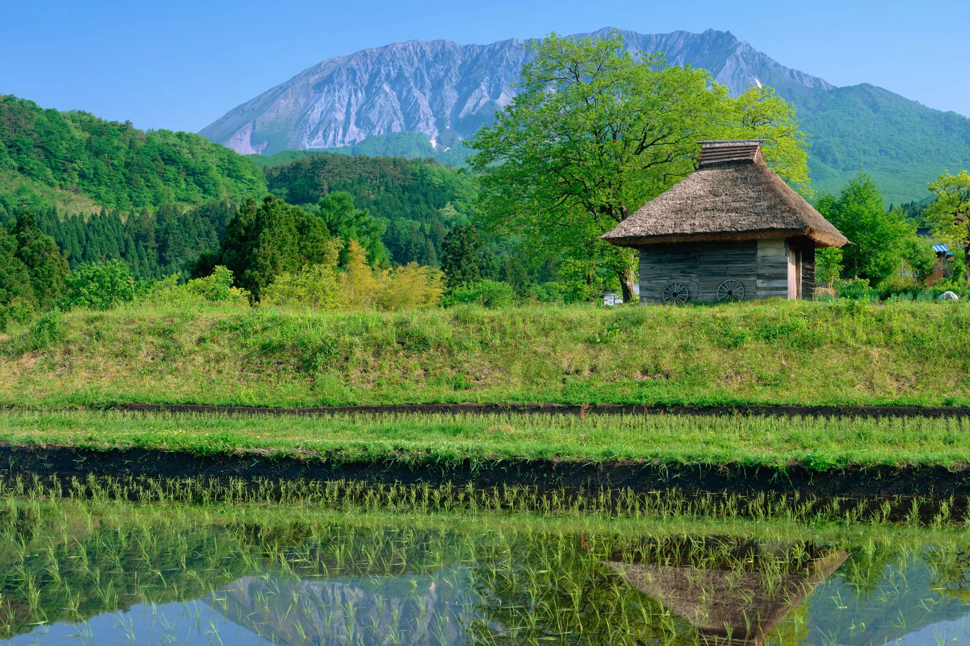 14 procent van alle huizen in Japan staat leeg: buitenlanders komen erop af als vliegen op de stroop