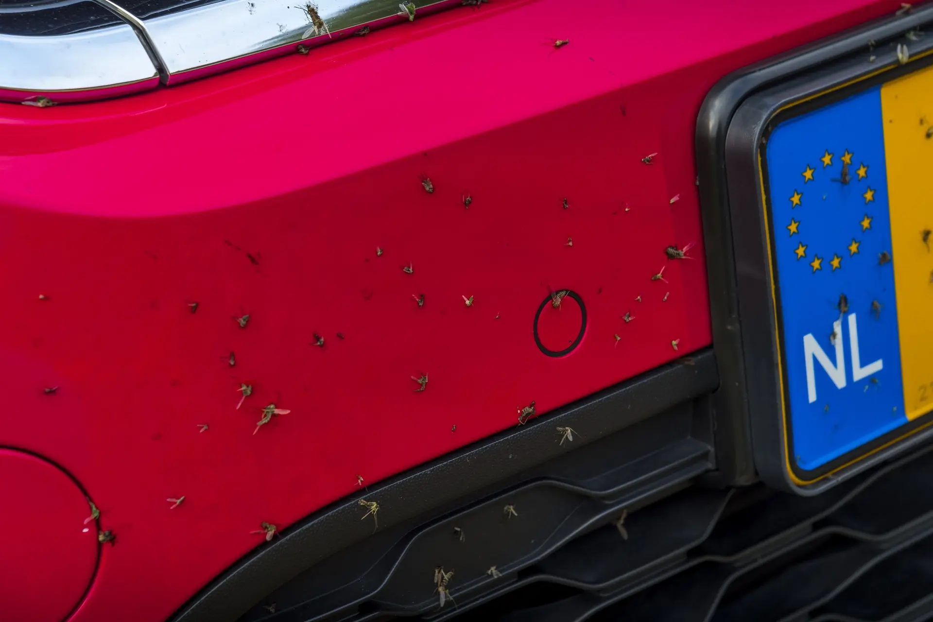 Hierdoor zitten er nu veel minder dode insecten op je voorruit en bumper