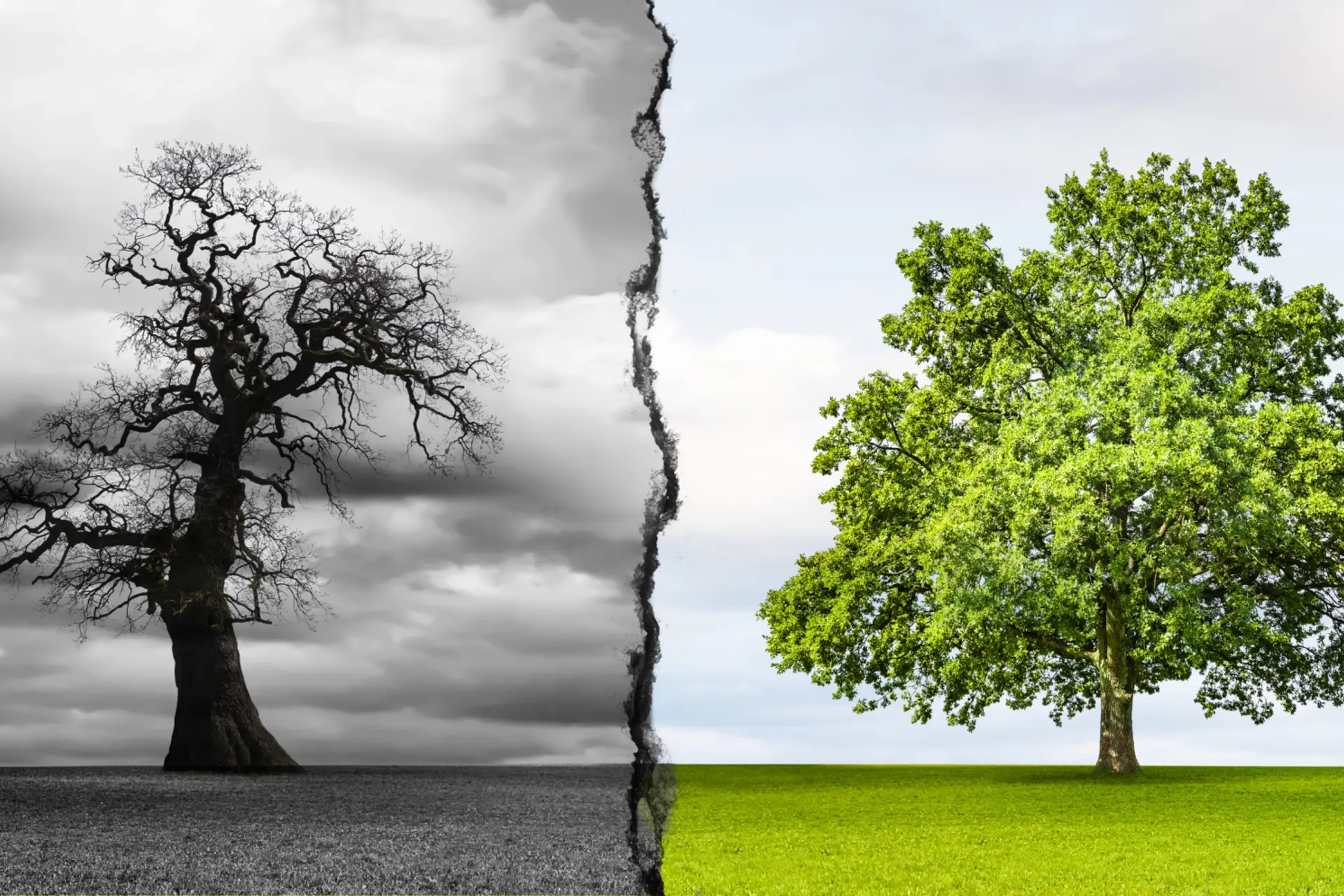 Je gezondheid loopt nu al gevaar door de klimaatcrisis