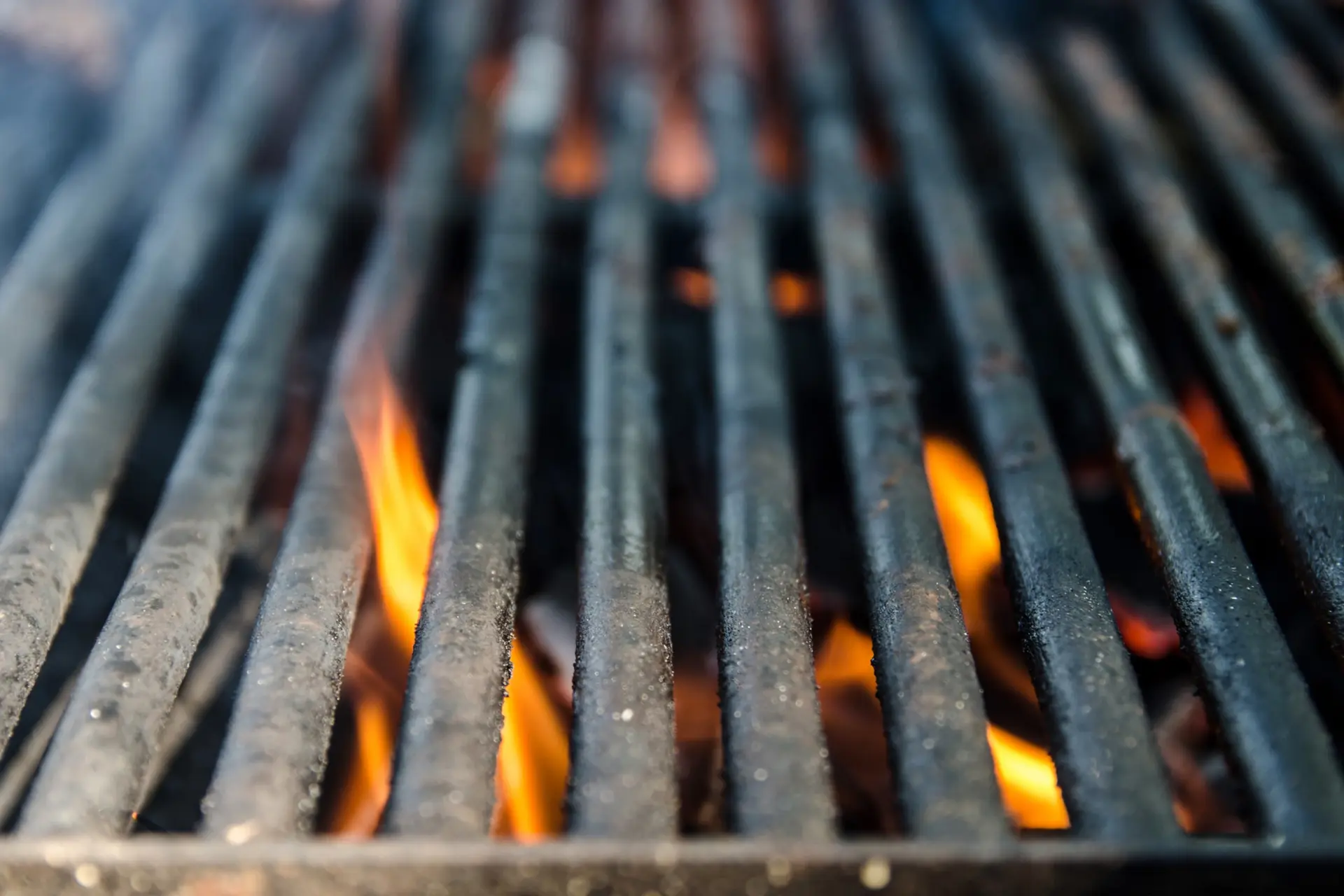 101 recepten voor op de grill