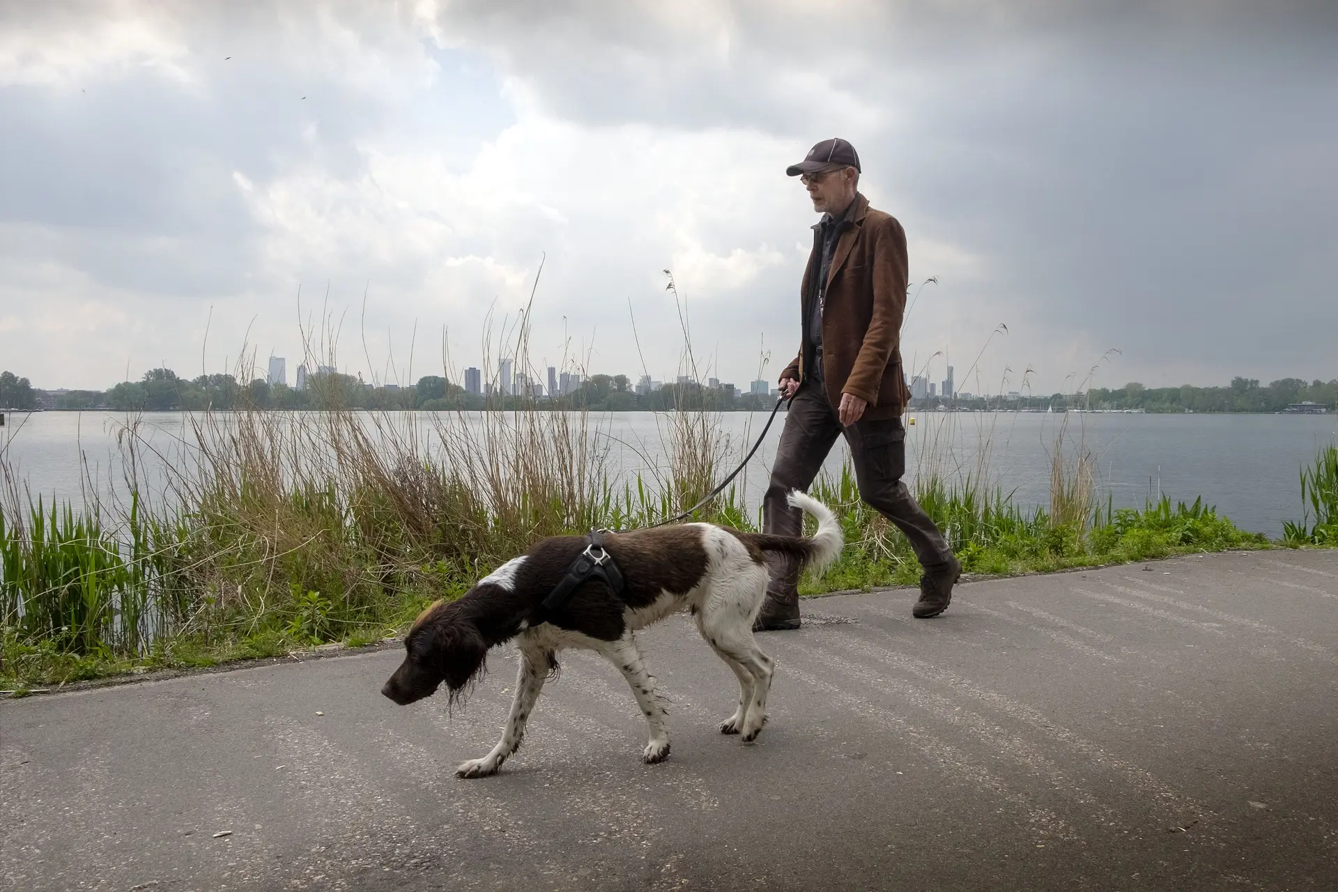 Hoe lang kan een hond zijn plas ophouden? ’Lang wachten met uitlaten is dierenmishandeling’