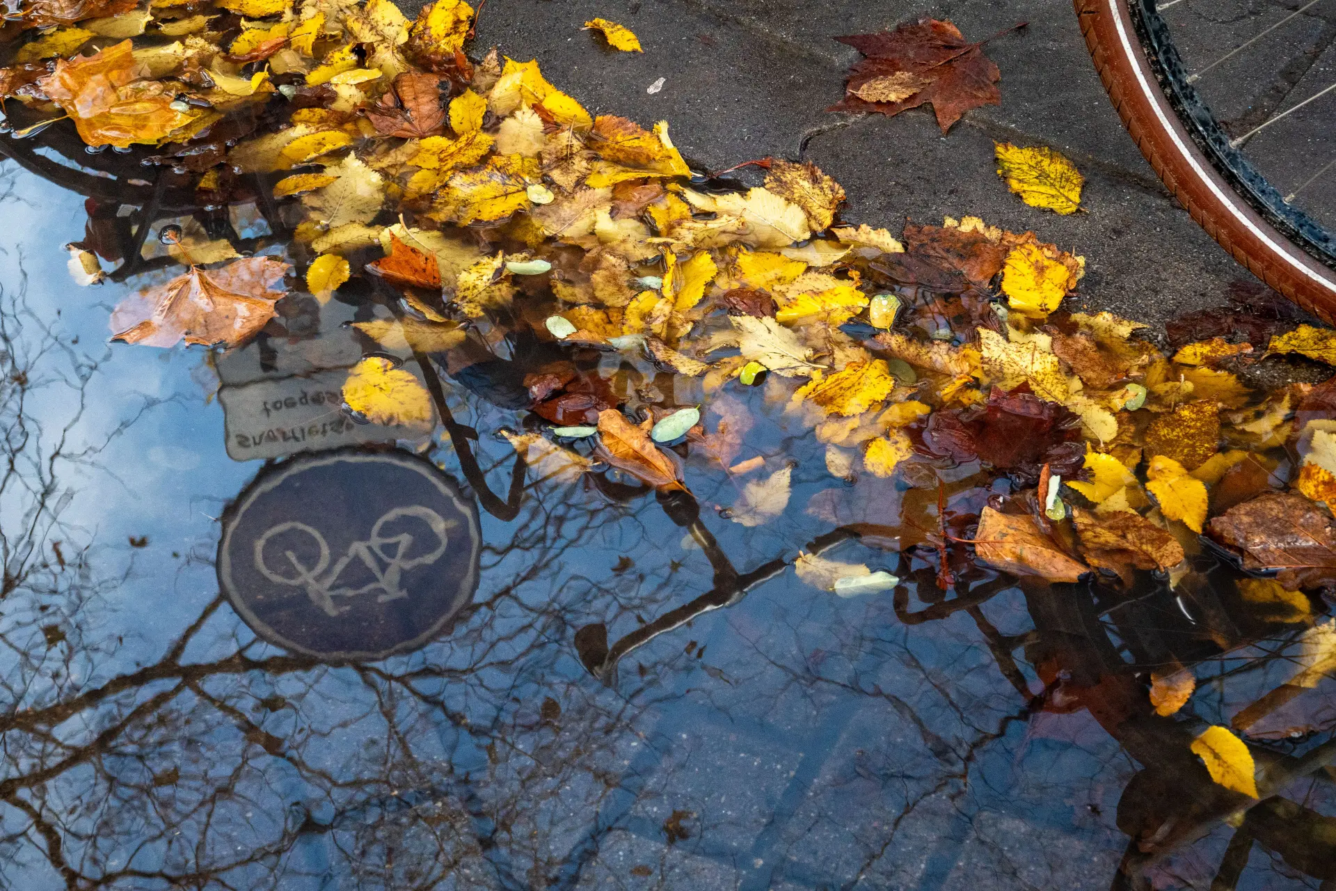Eerst nog mooi nazomerweer, maar natte herfst in het verschiet