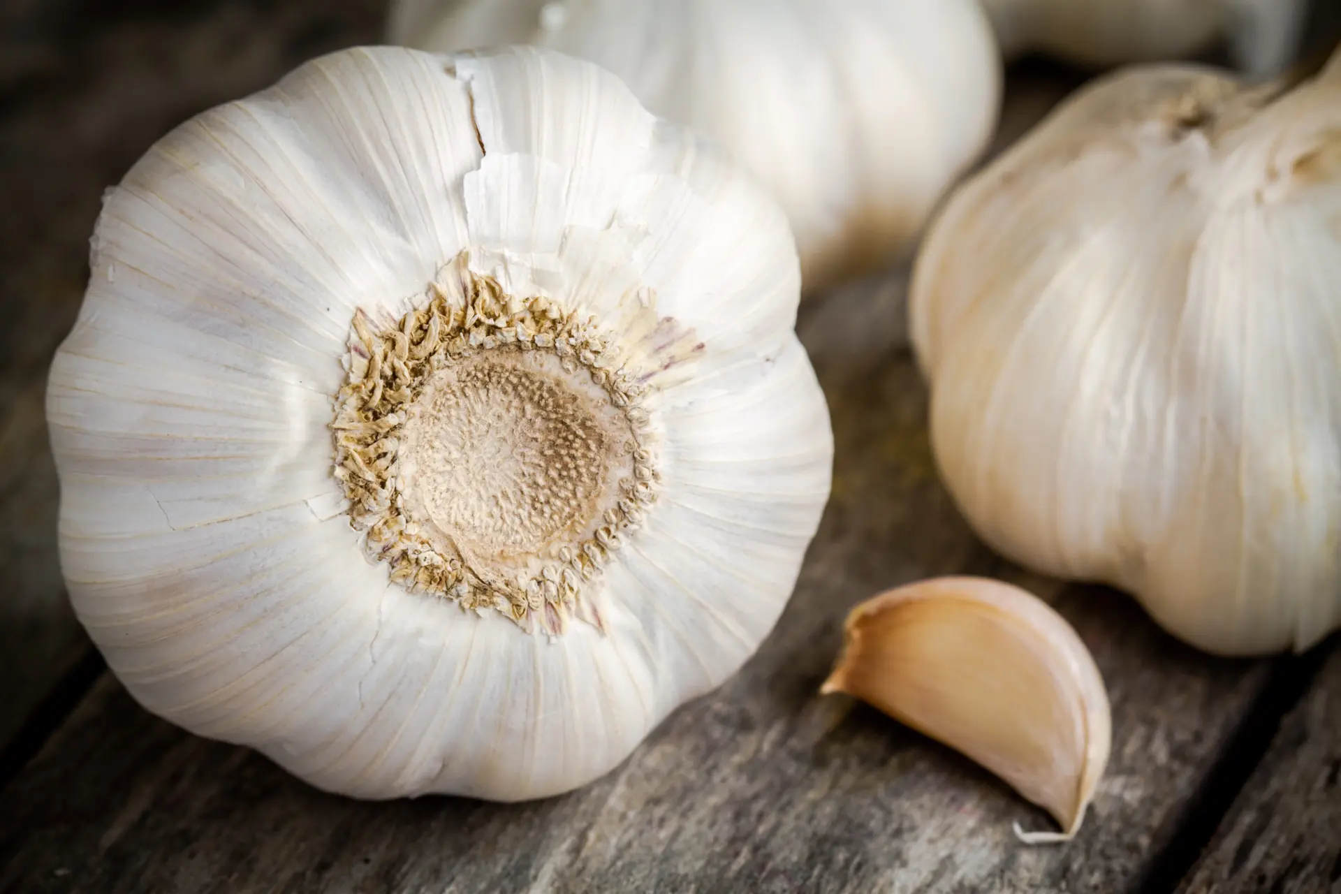 10 Redenen waarom knoflook een must-have is in je keuken