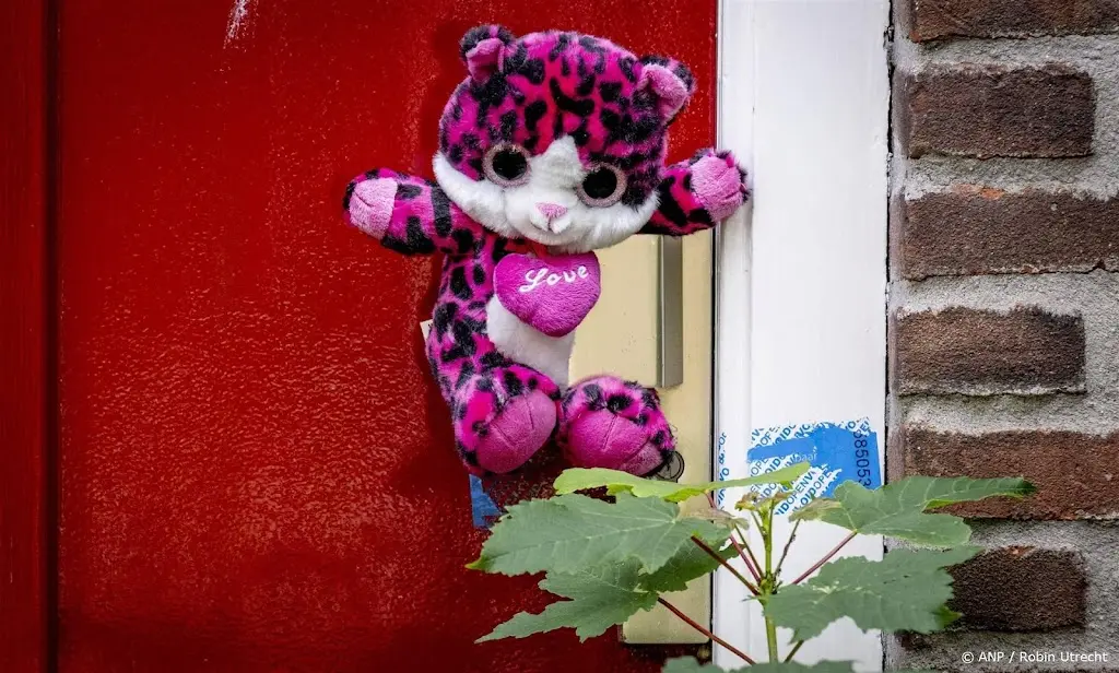 Pleegouders Vlaardingen mishandelden mogelijk meer kinderen