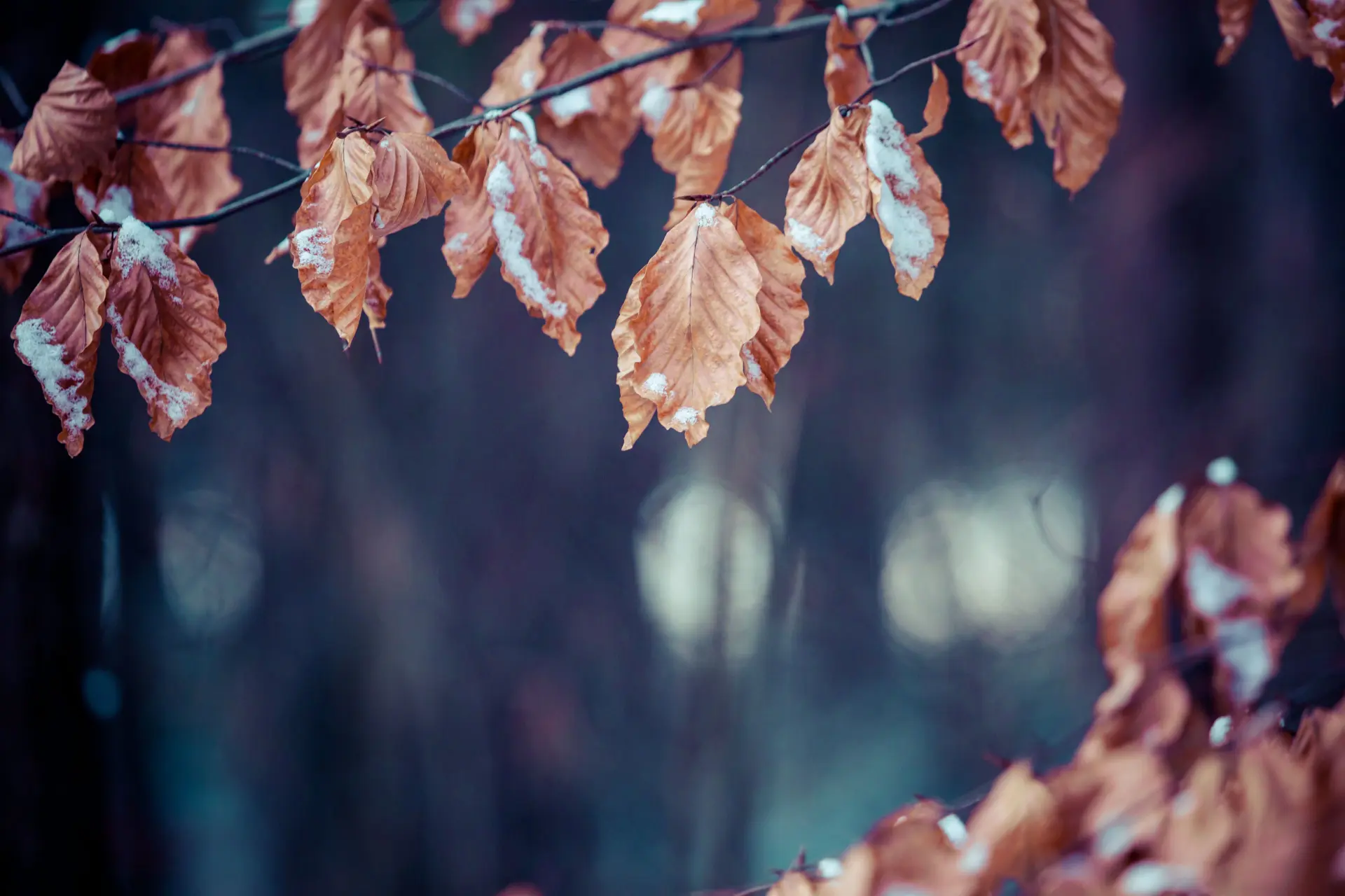 7 tips tegen herfstblues (of seizoensgebonden depressie)