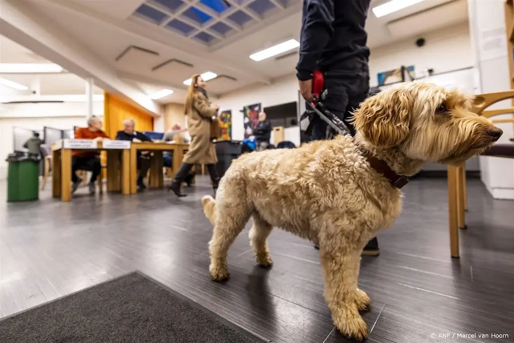 Zeven keer meer bijtende honden in beslag genomen dan voor corona