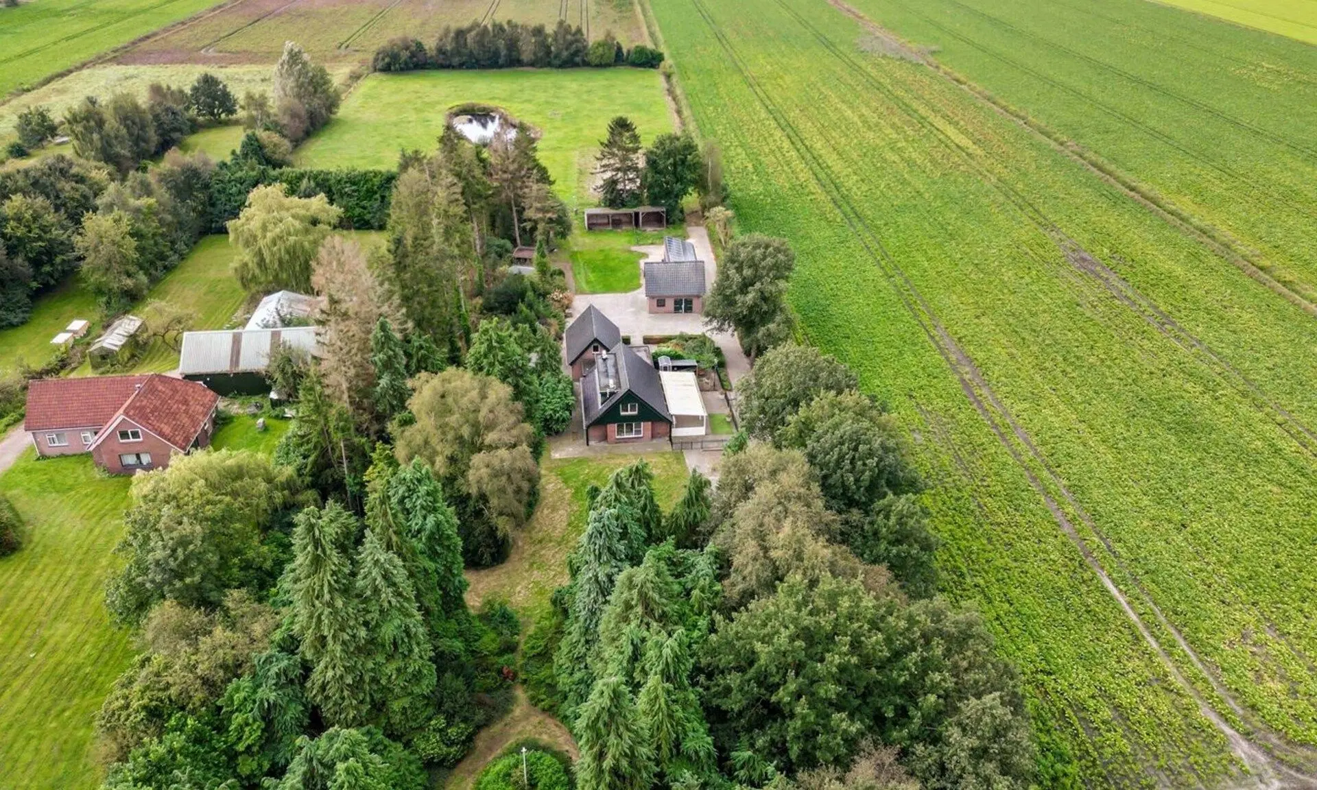 Woning dubbele moord in Weiteveen staat op Funda: 'schitterend gelegen'