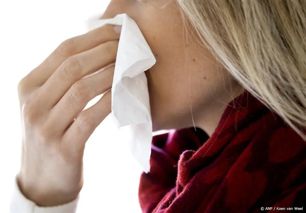 Onderzoekers: door warme winter mogelijk tijdens kerst al last van hooikoorts