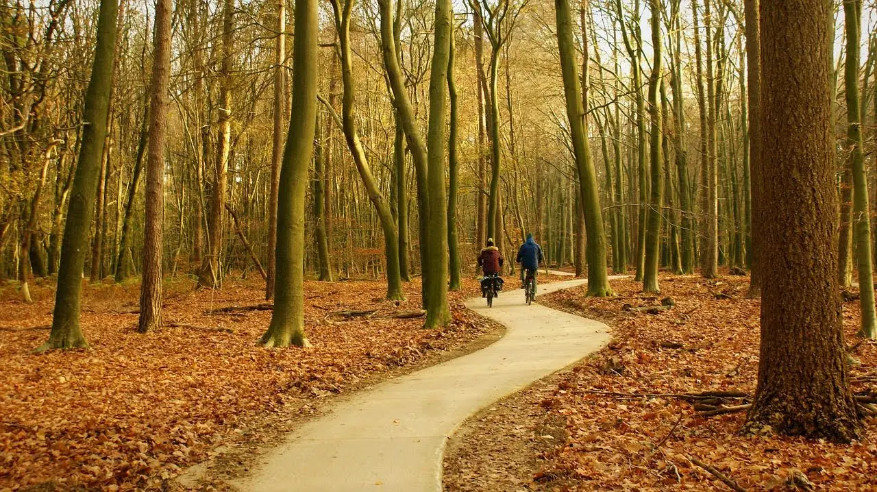 Op pad met het hele gezin: dit zijn de leukste routes in Nederland