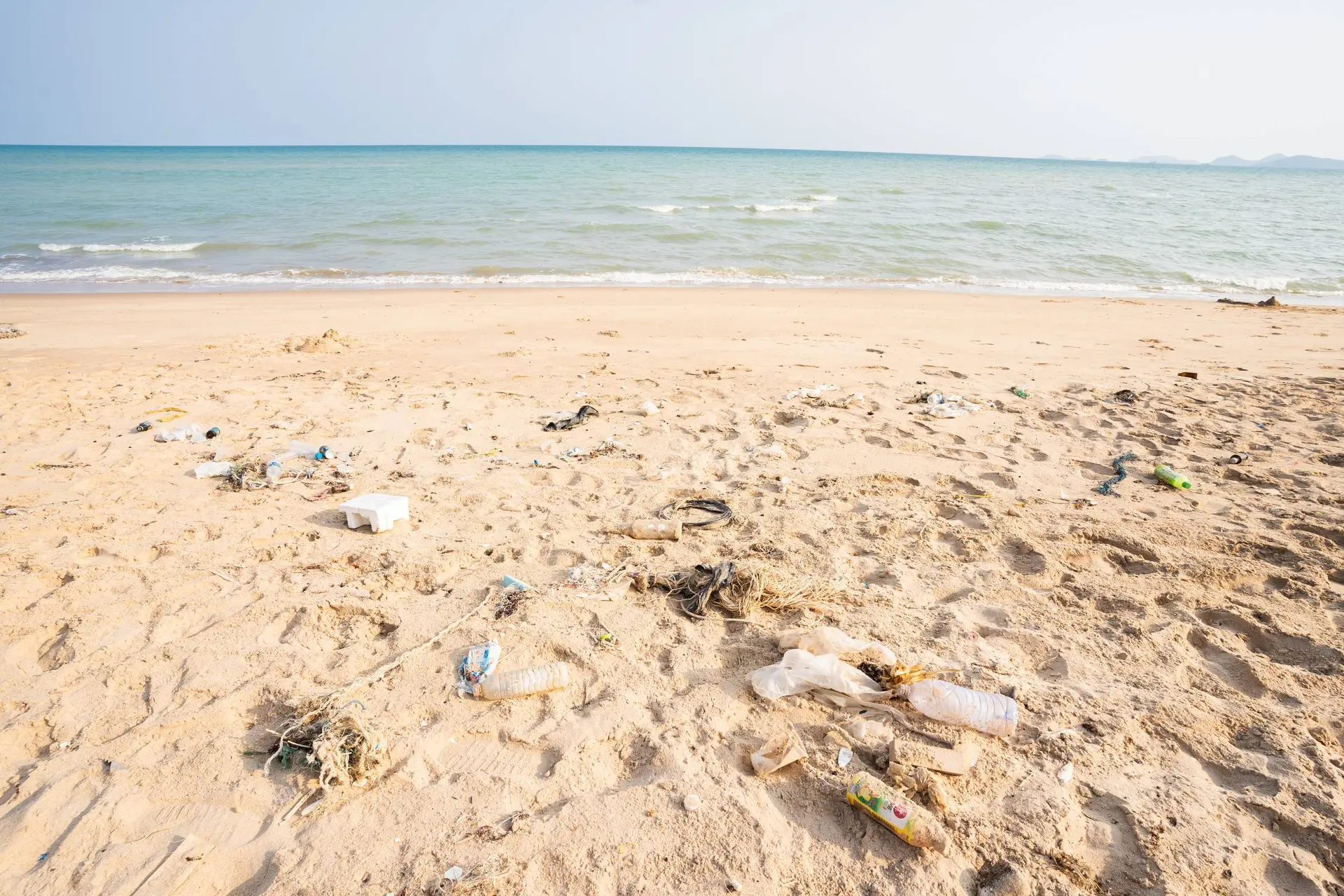 Als je aan de kust woont, verhogen microplastics de kans op lichamelijke beperkingen