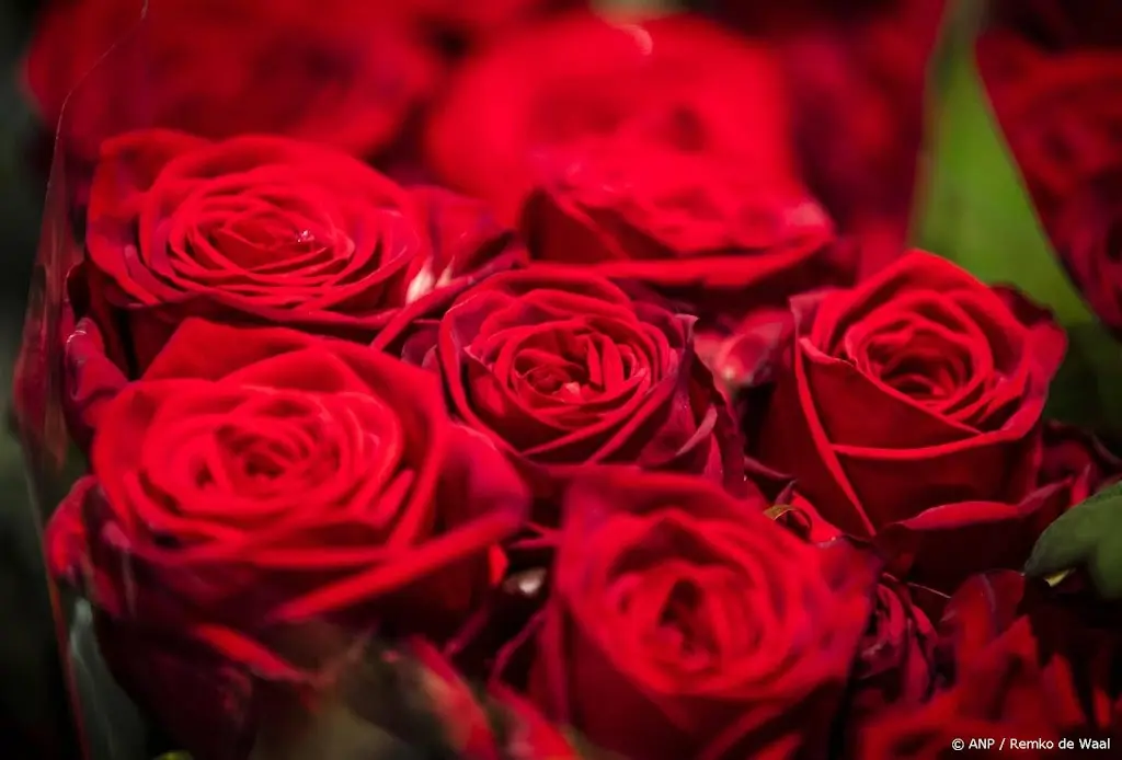 Consument wil bloemen zonder gif, maar waar koop je ze?
