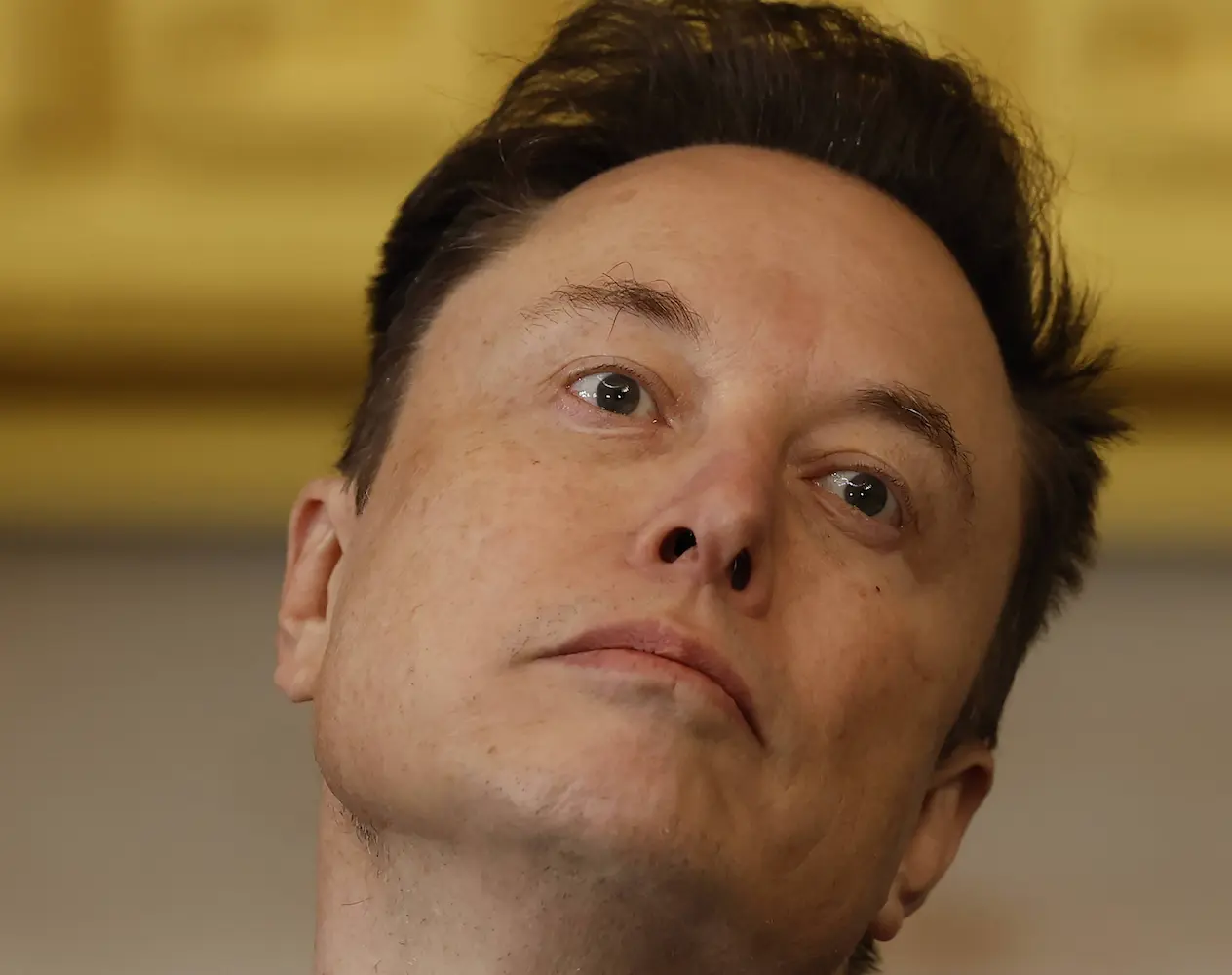 Elon Musk wil ook de baas worden bij ChatGTP