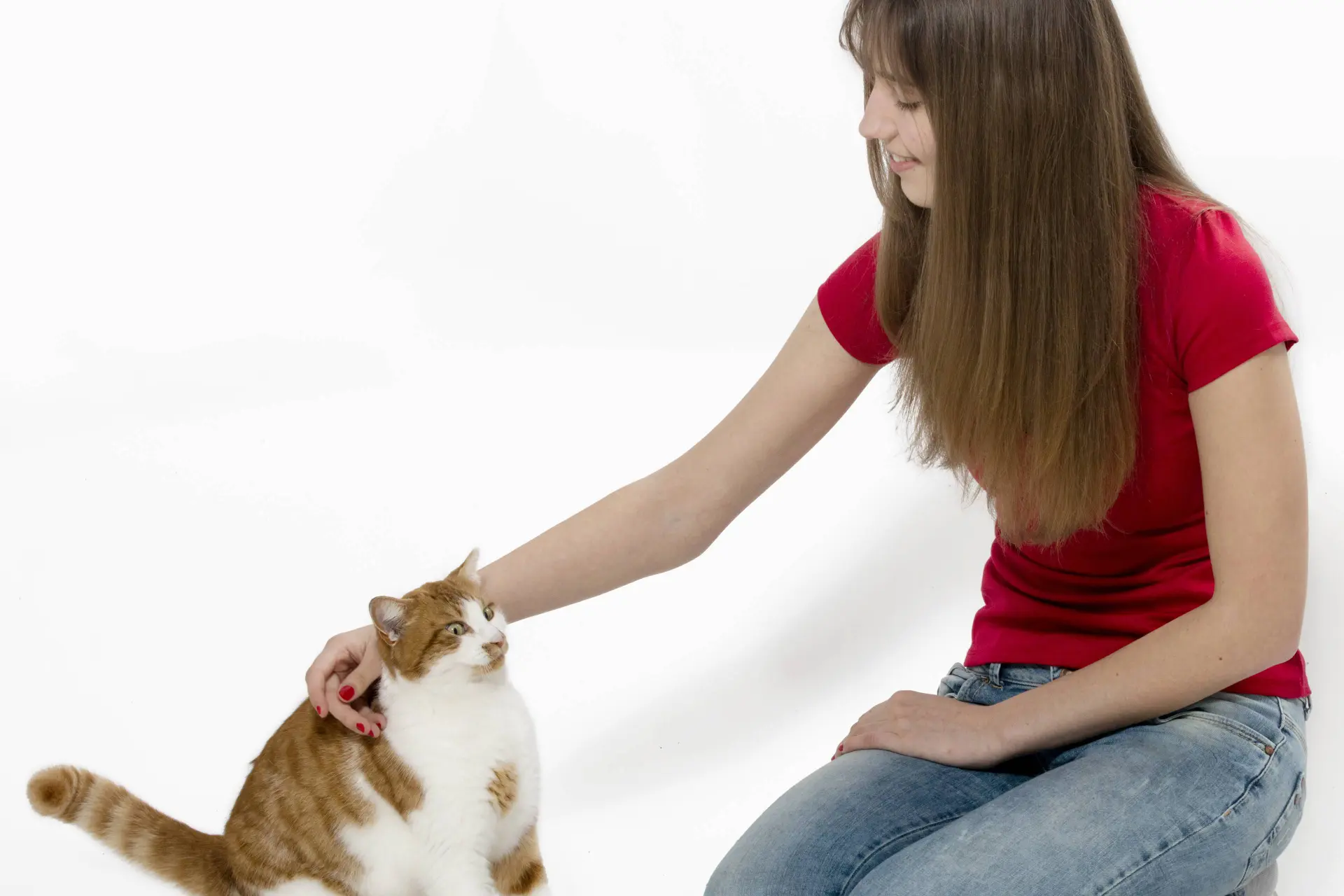 Heb jij niks met katten? Dit is waarom ze juist op jou afstappen