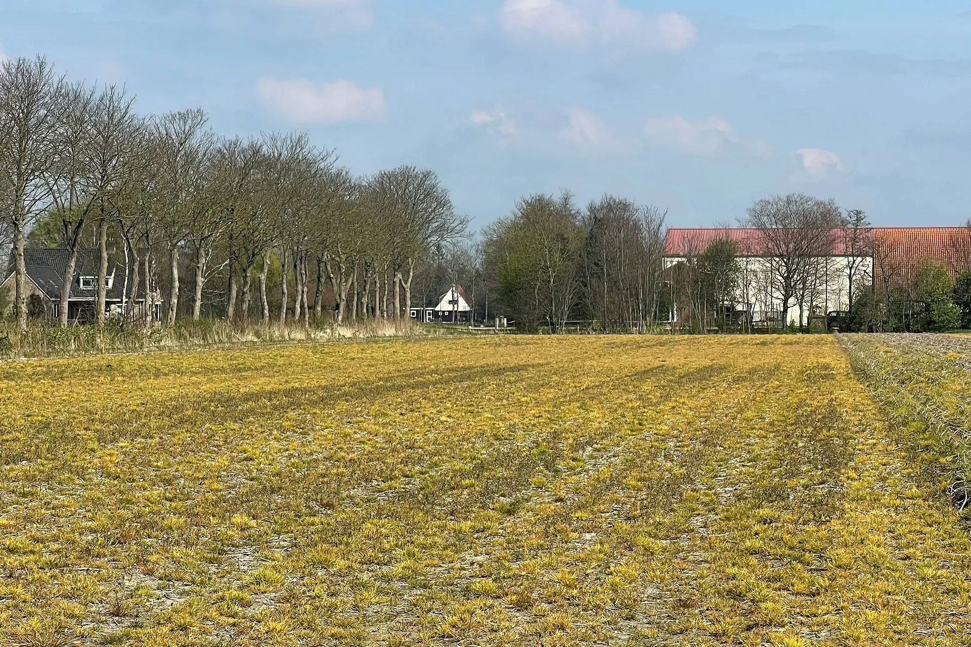 Voedingsexperts: "De kans is echt klein dat je ziek wordt van pesticiden of plastics"