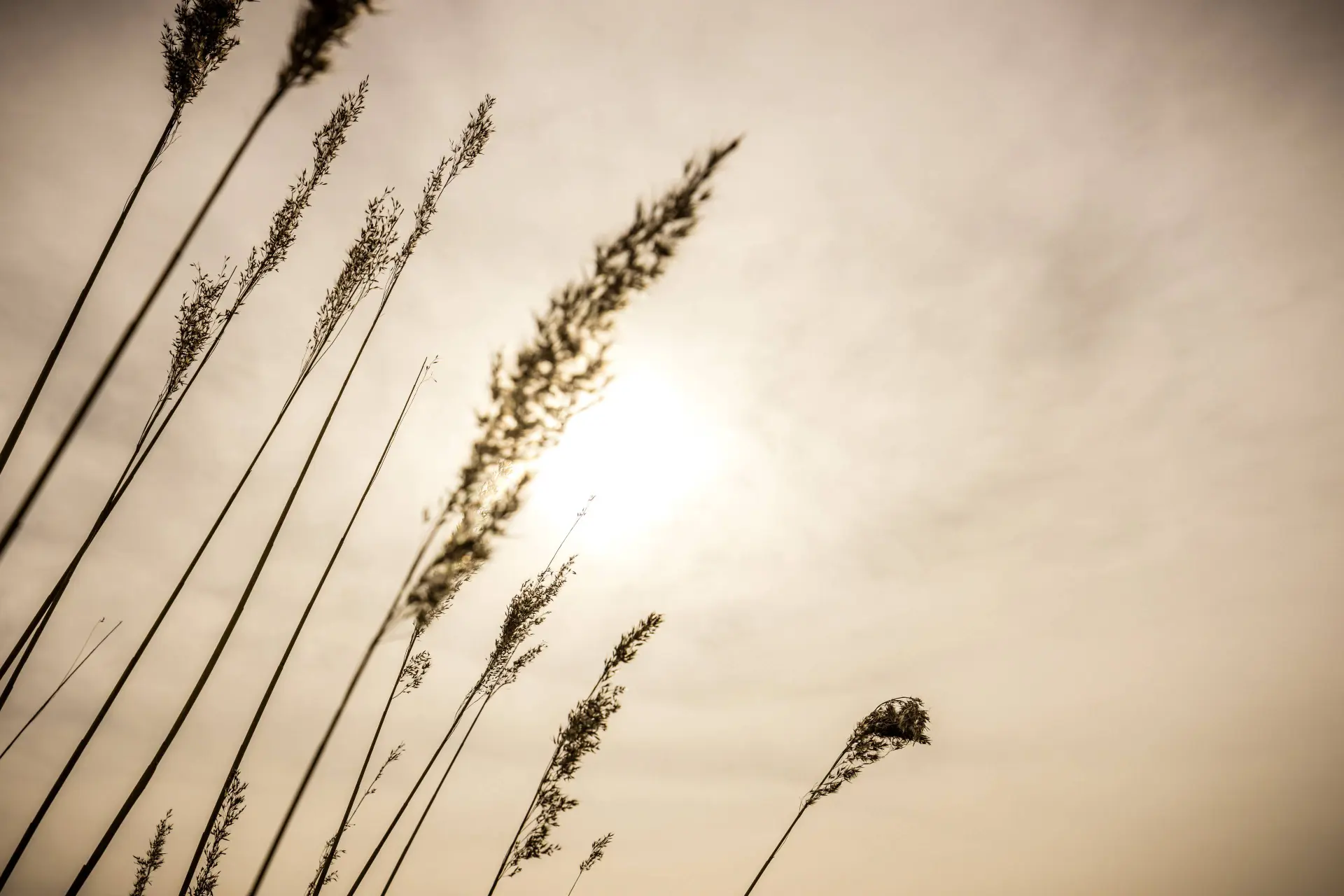 Er zit weer Saharazand in de lucht: kun je dan beter niet buiten sporten?